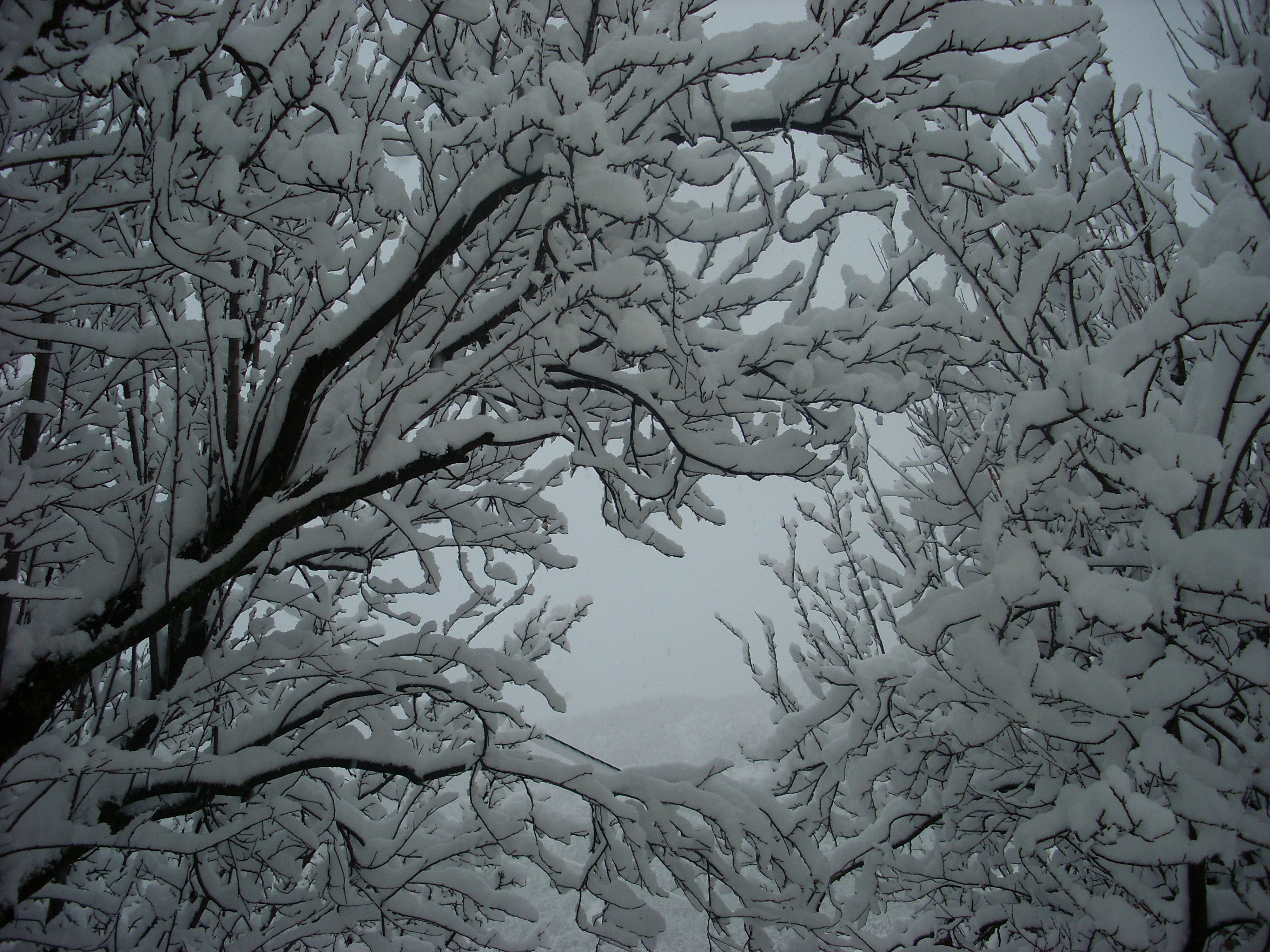 Serre Chevalier, por Juliie