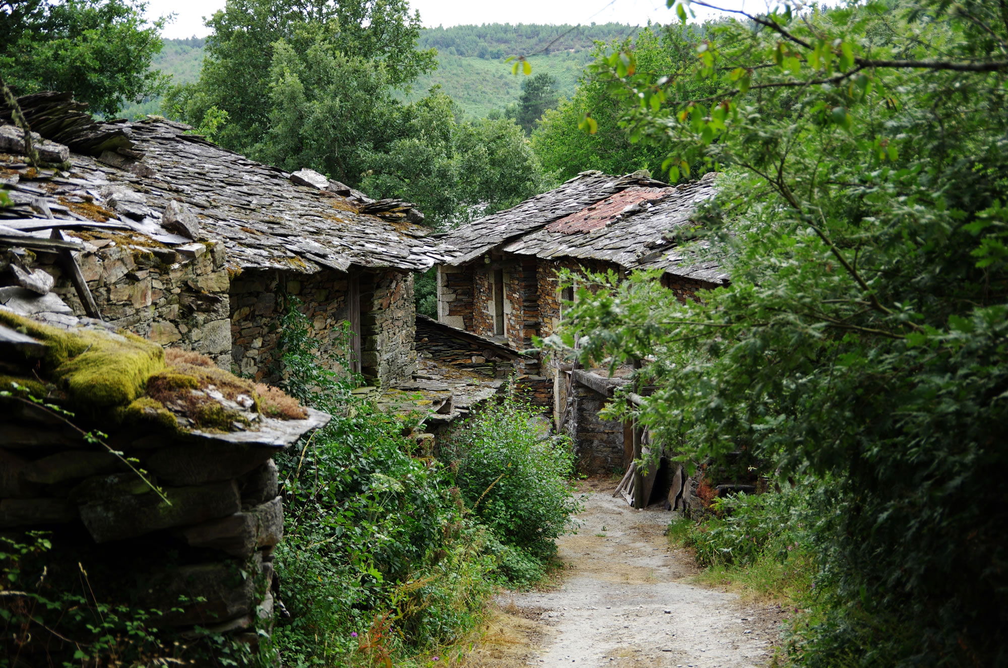 Ruta del Hombre Lobo, por Couso Galán Aldea Rural