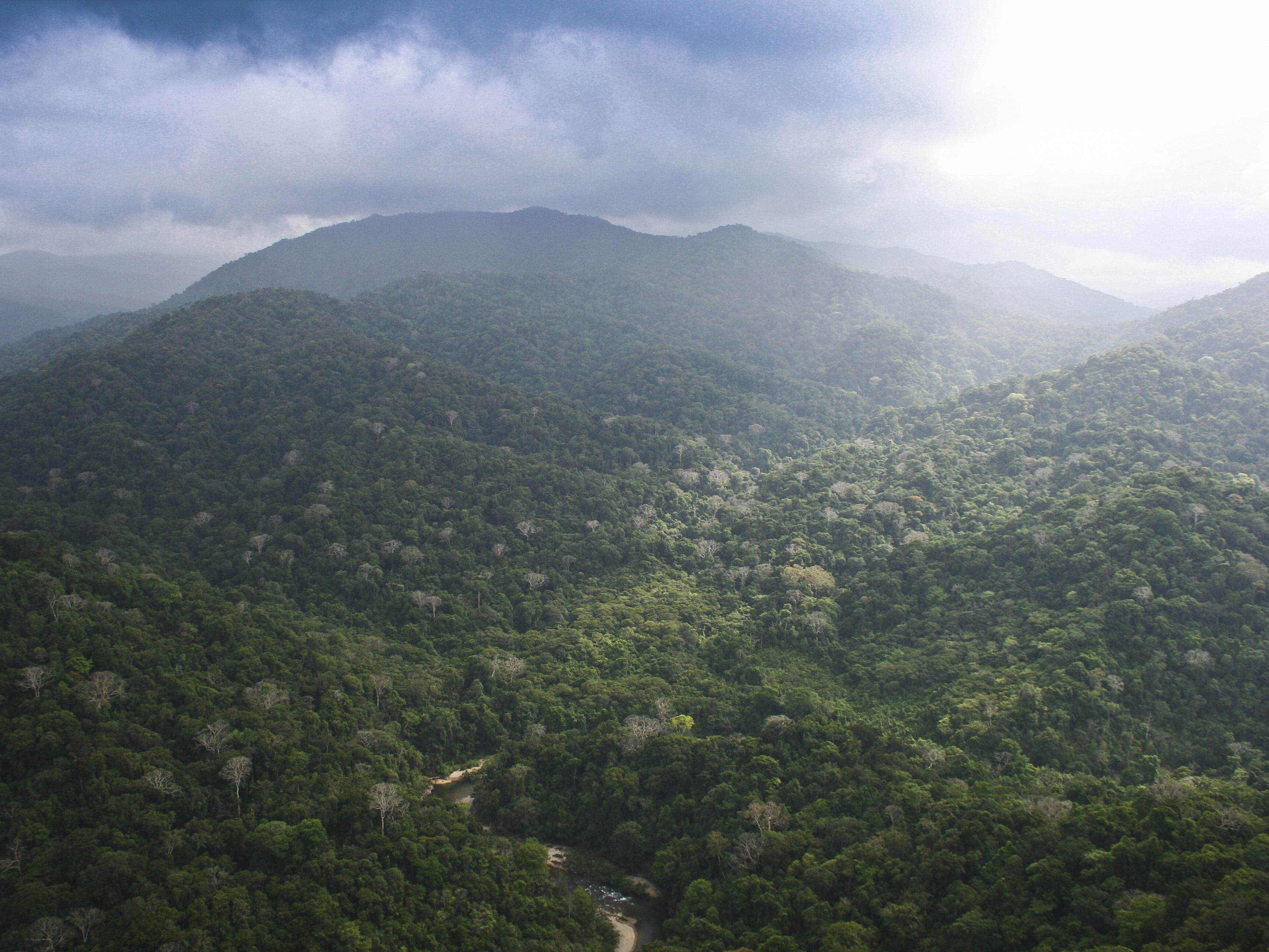 Parque Nacional Chagres, por Jaime Massot