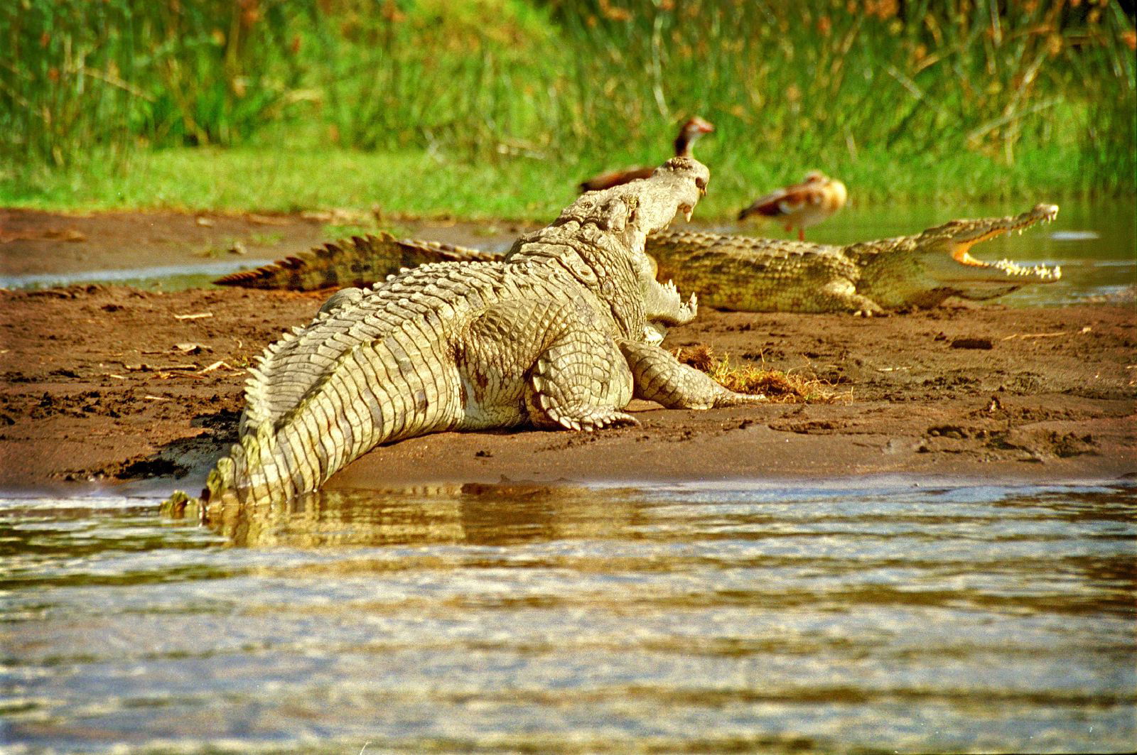 Parque Nacional de Abiata-Shala, por Alfonso Navarro Táppero