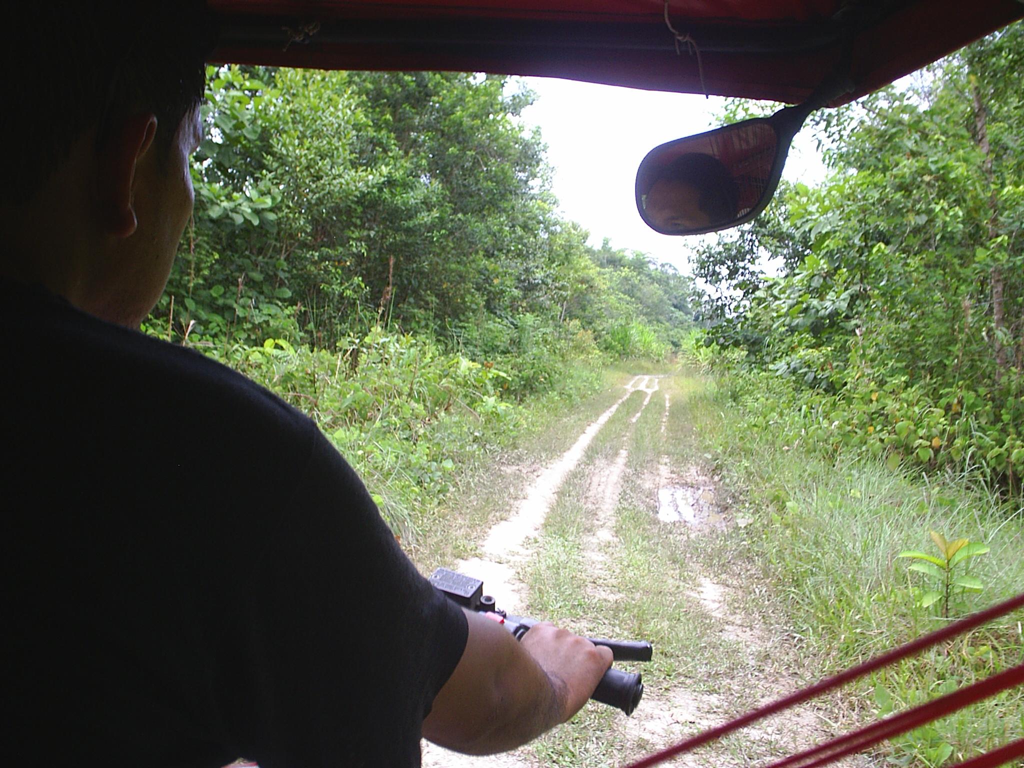 Reserva Nacional Allpahuayo–Mishana, por nachitostours junglexpeditions