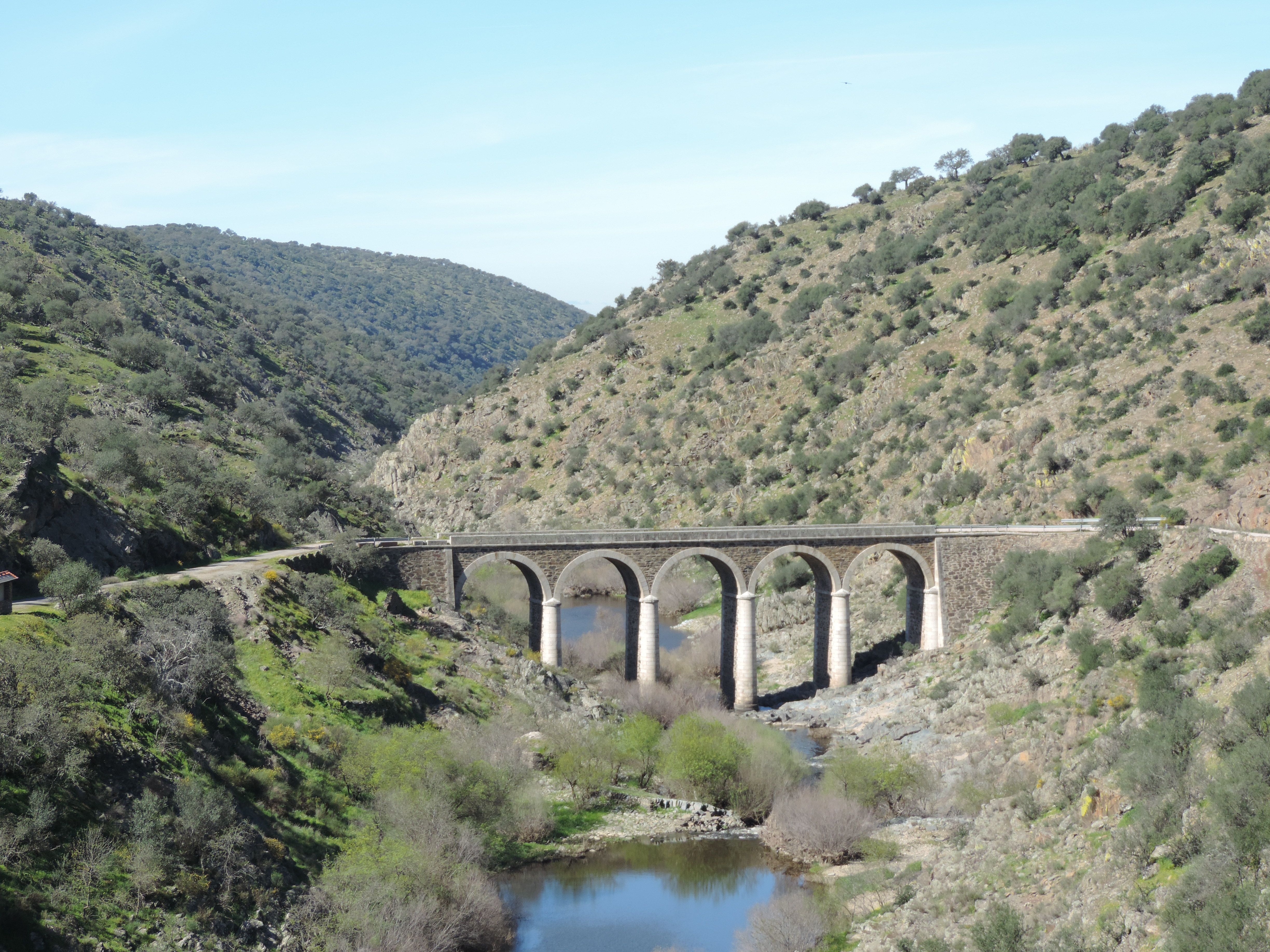 Bosques en Extremadura: rutas y secretos de un paraíso natural