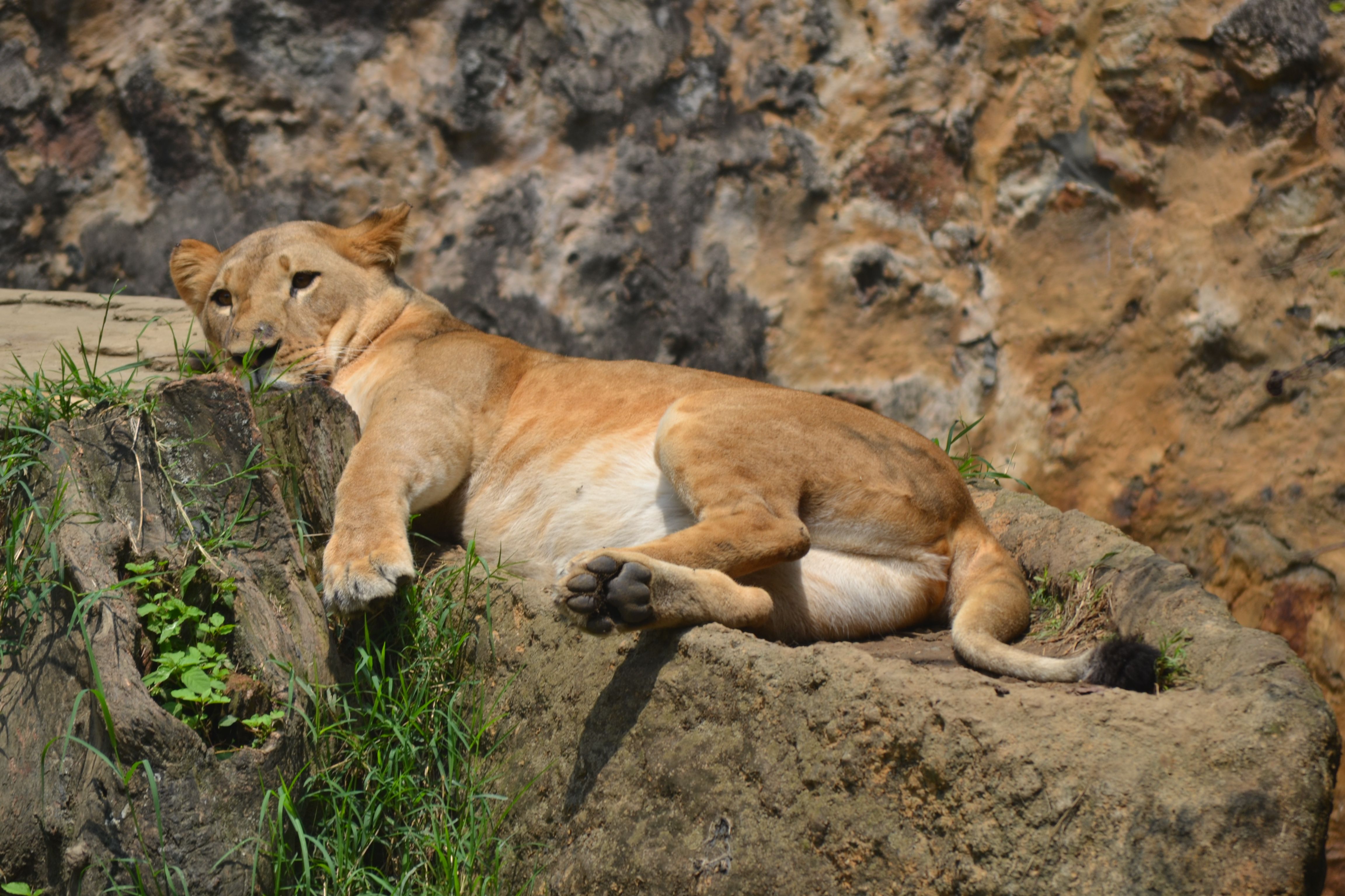 Zoo di Cali a Cali: 23 opinioni e 63 foto