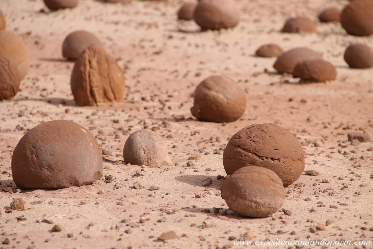 Reserva Provincial Ischigualasto-Valle de la Luna, por Carla Nogueira