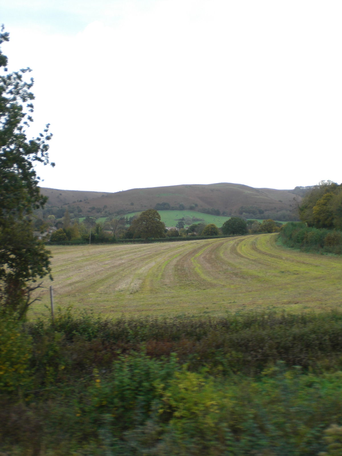 Somerset, por guanche