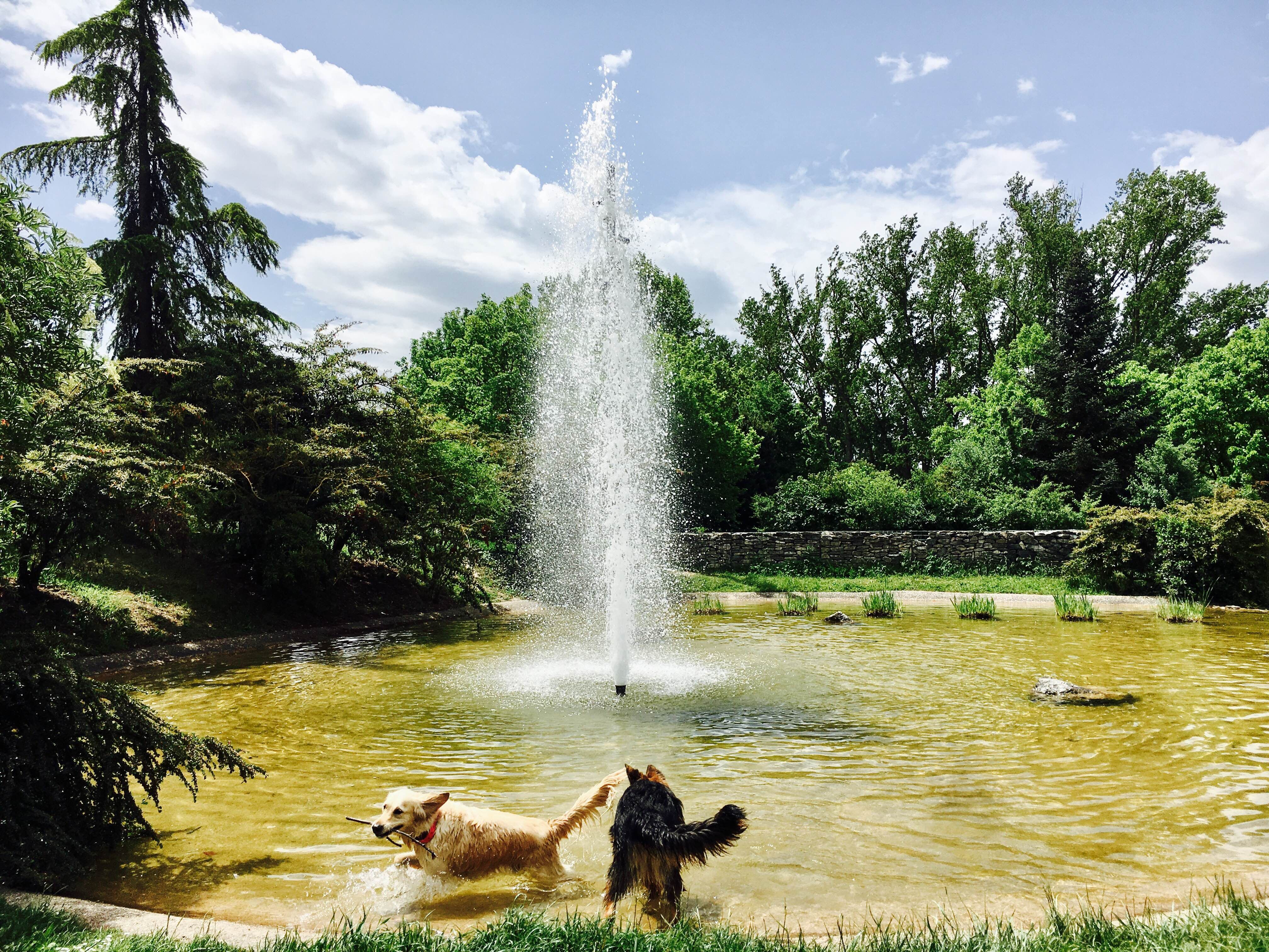 Parque de Arriaga, por Dafne Nuñez