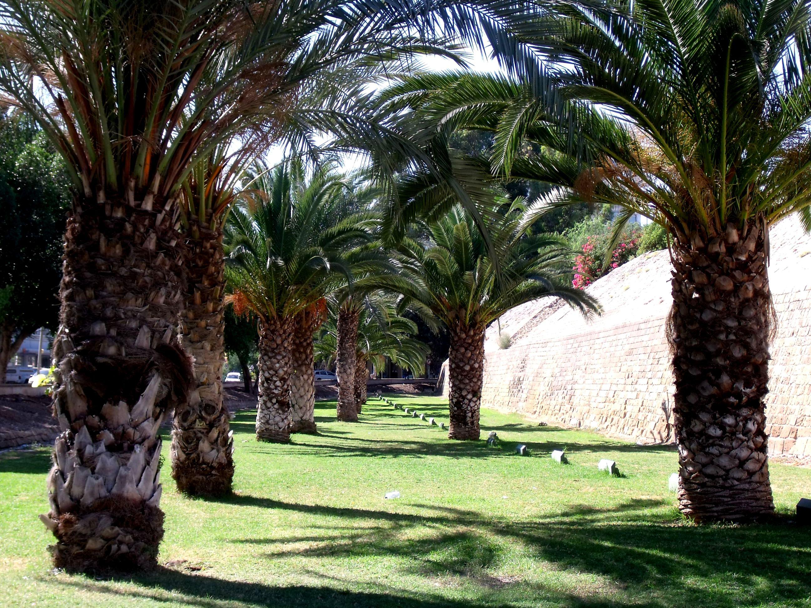 Parque Municipal de Nicosia, por sala2500