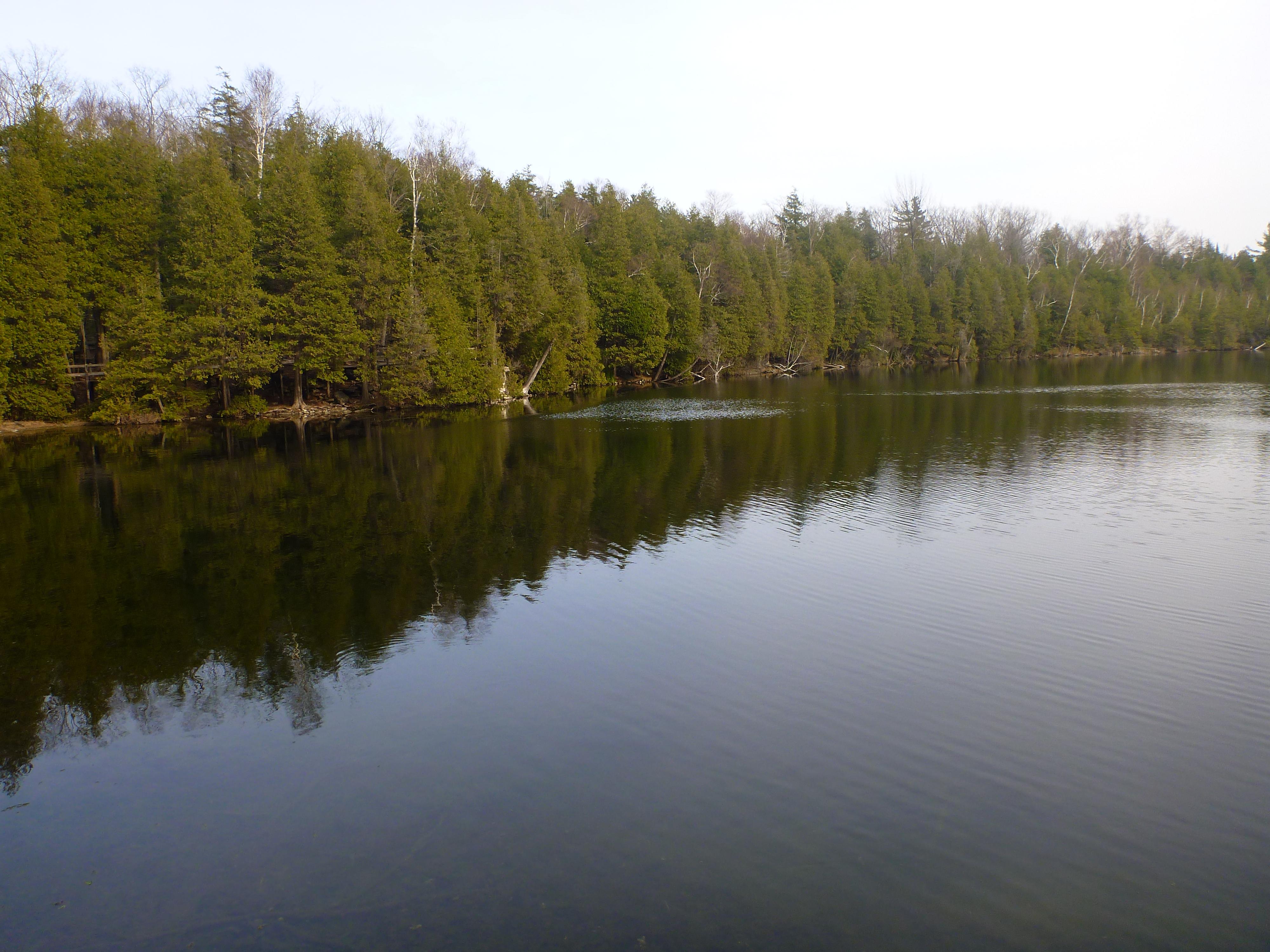 Crawford Lake Conservation Area, por Justin Plus Lauren