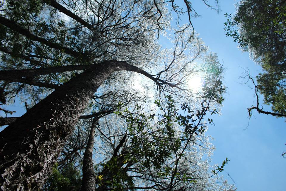 Biosfera El Cielo, por Lizzie Rock