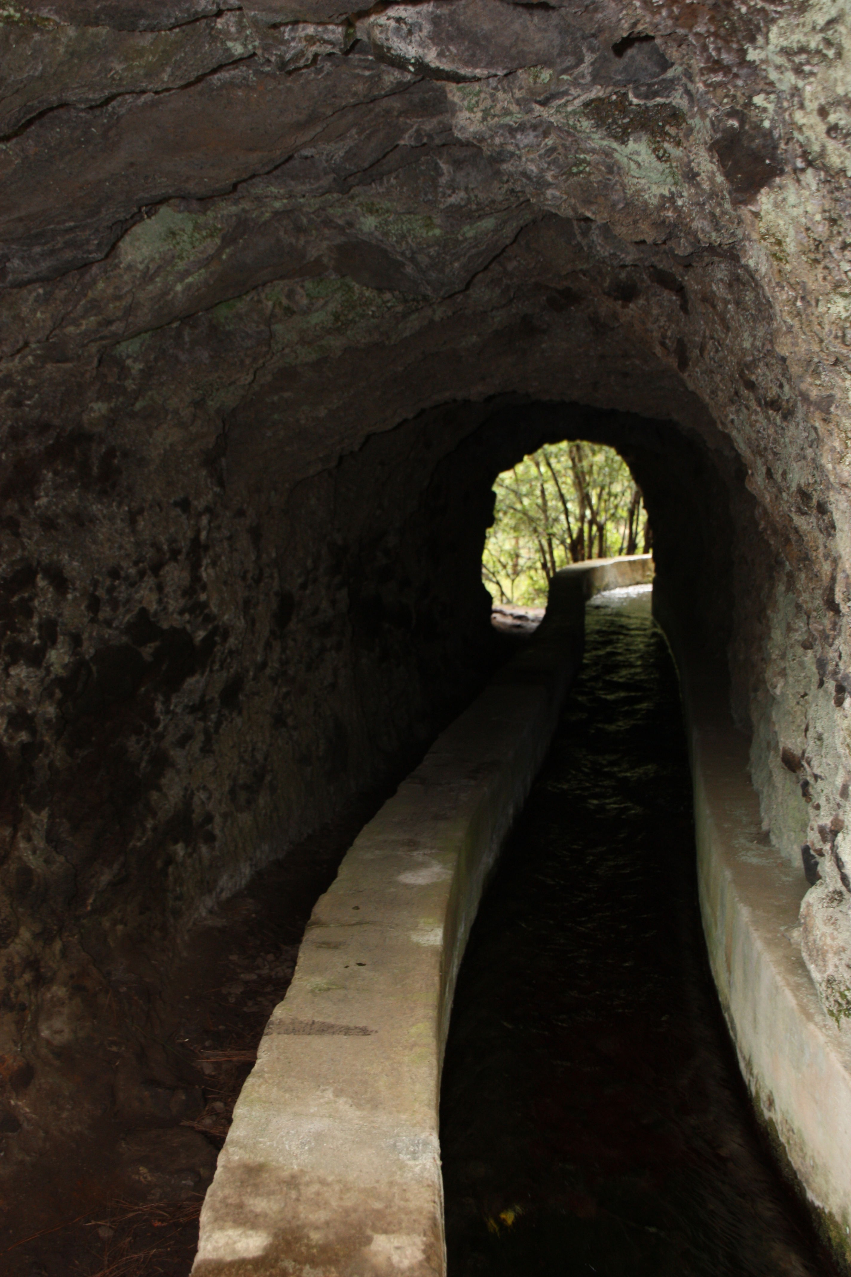 Ruta: Nacientes de Marcos y Cordero; Bosque de los Tiles, por nuria