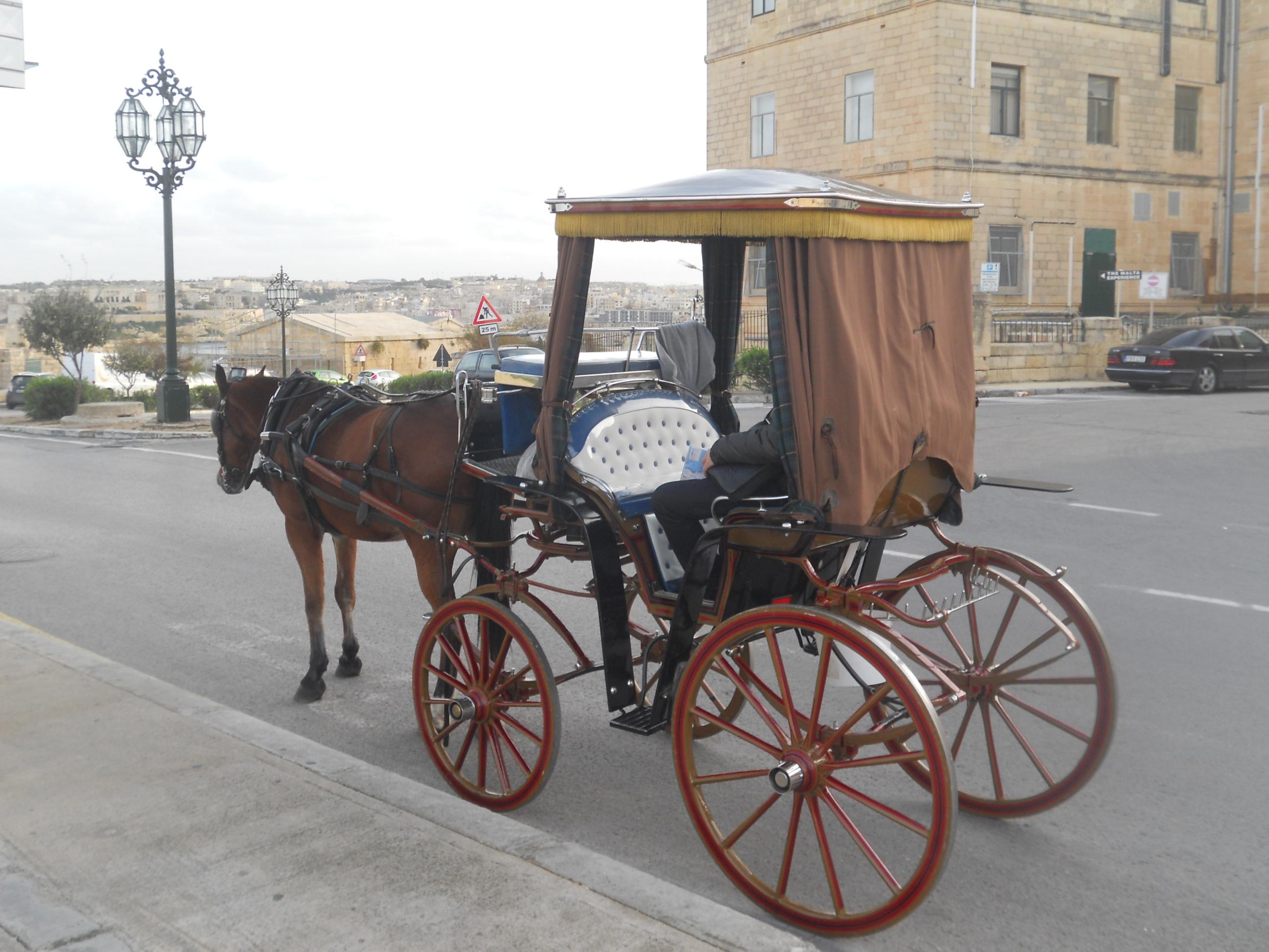 Horse cab, por Azzonzo