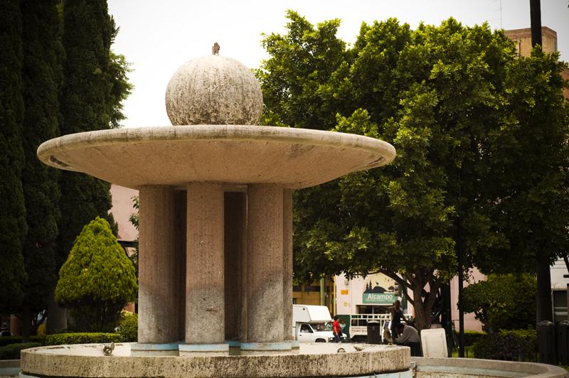 Jardín de Zaragoza, por Sebastian Muñoz Ruiz Esparza