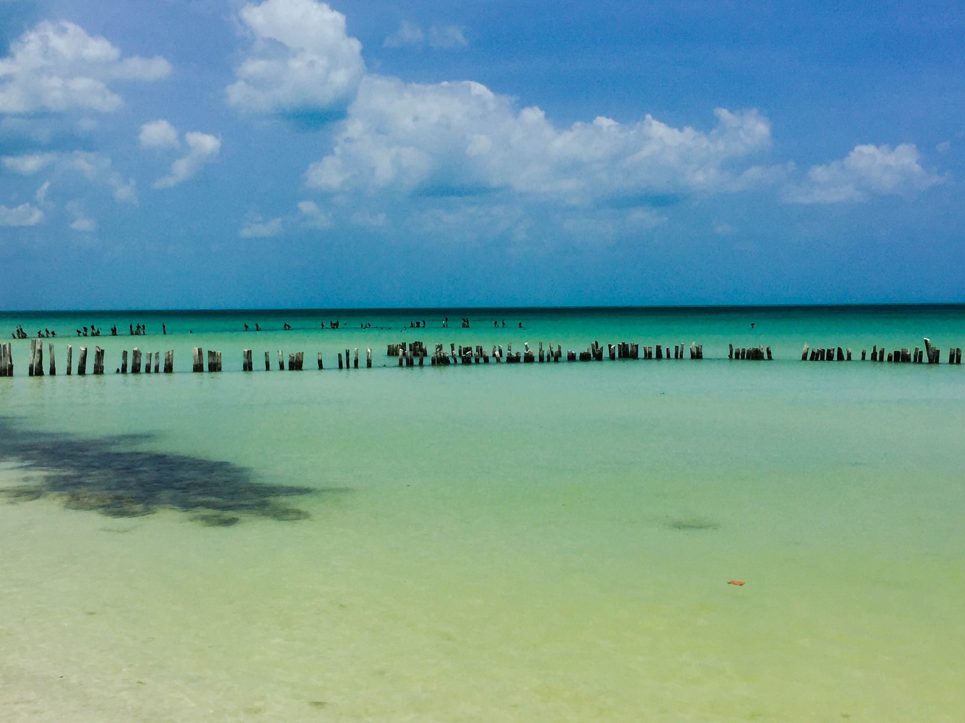 Holbox, por Diana Patricia Montemayor Flores