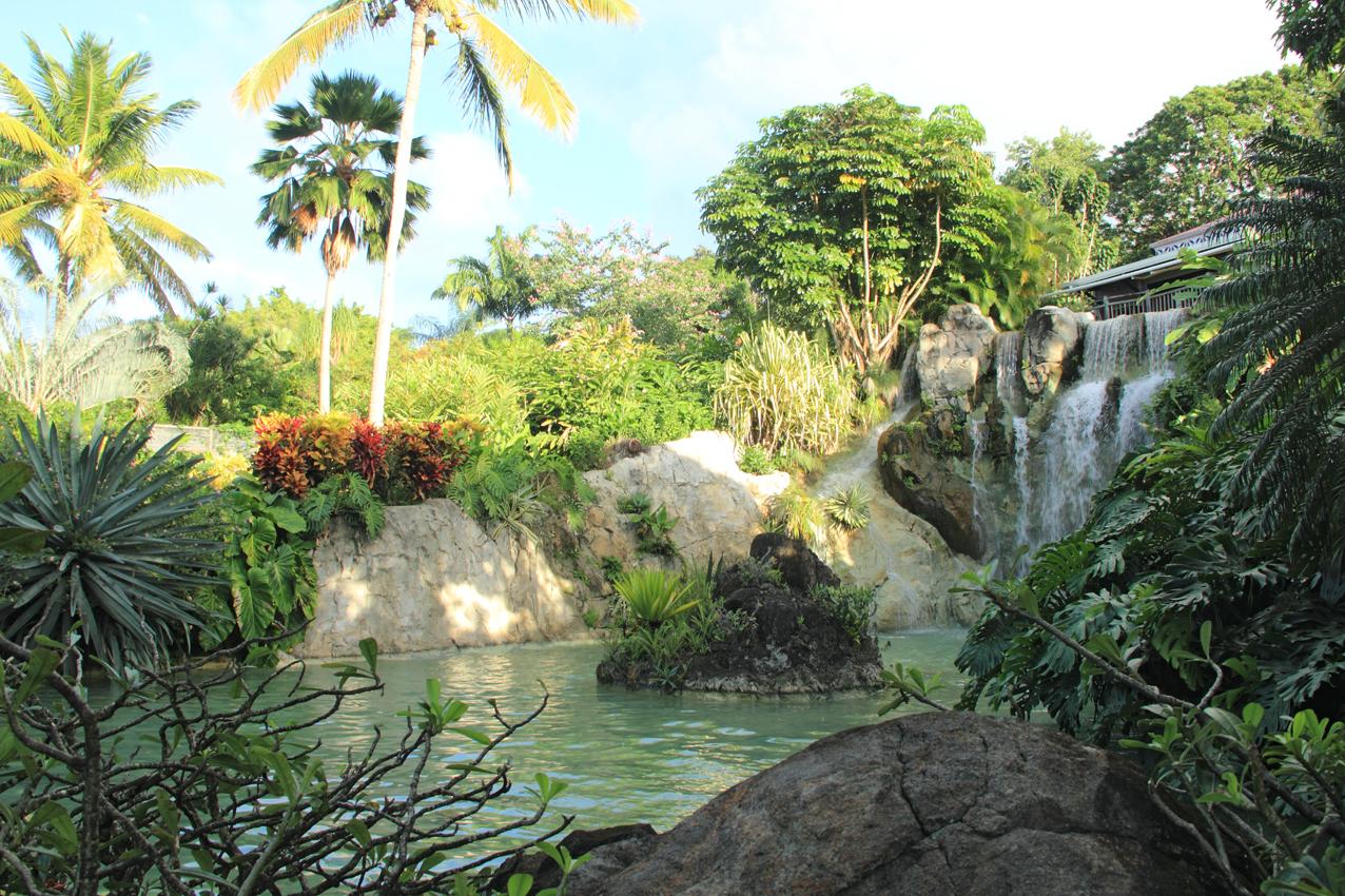 Jardín botánico, por Claudia 