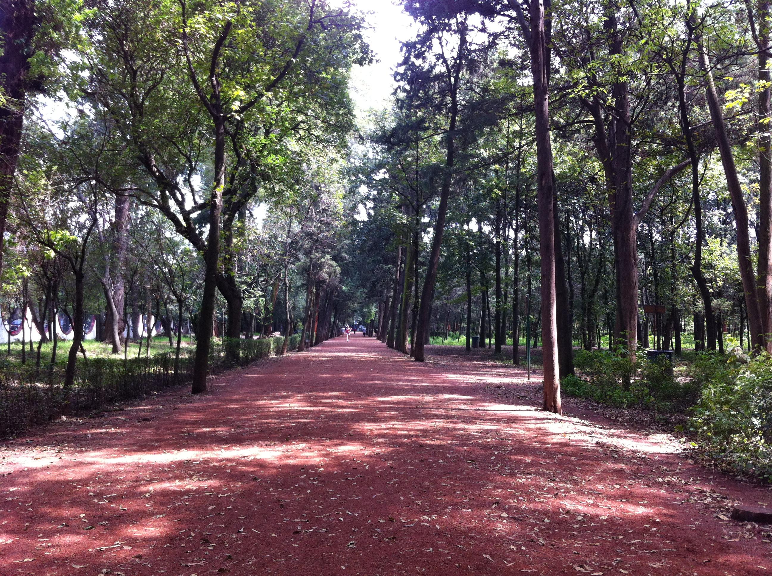 Viveros de Coyoacán, por Pita Hernandez