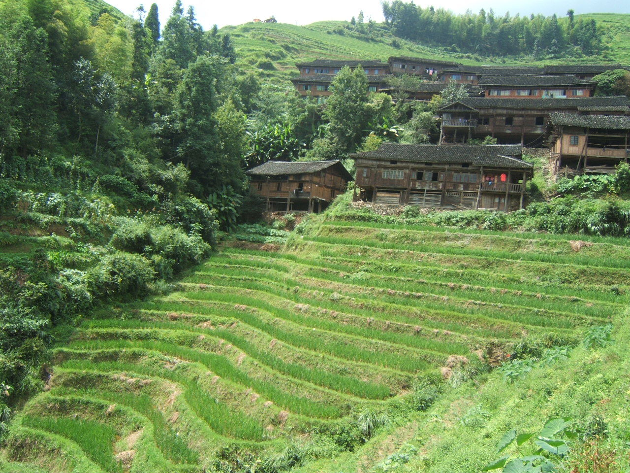 Aldea Longjing, por Iván Marcos
