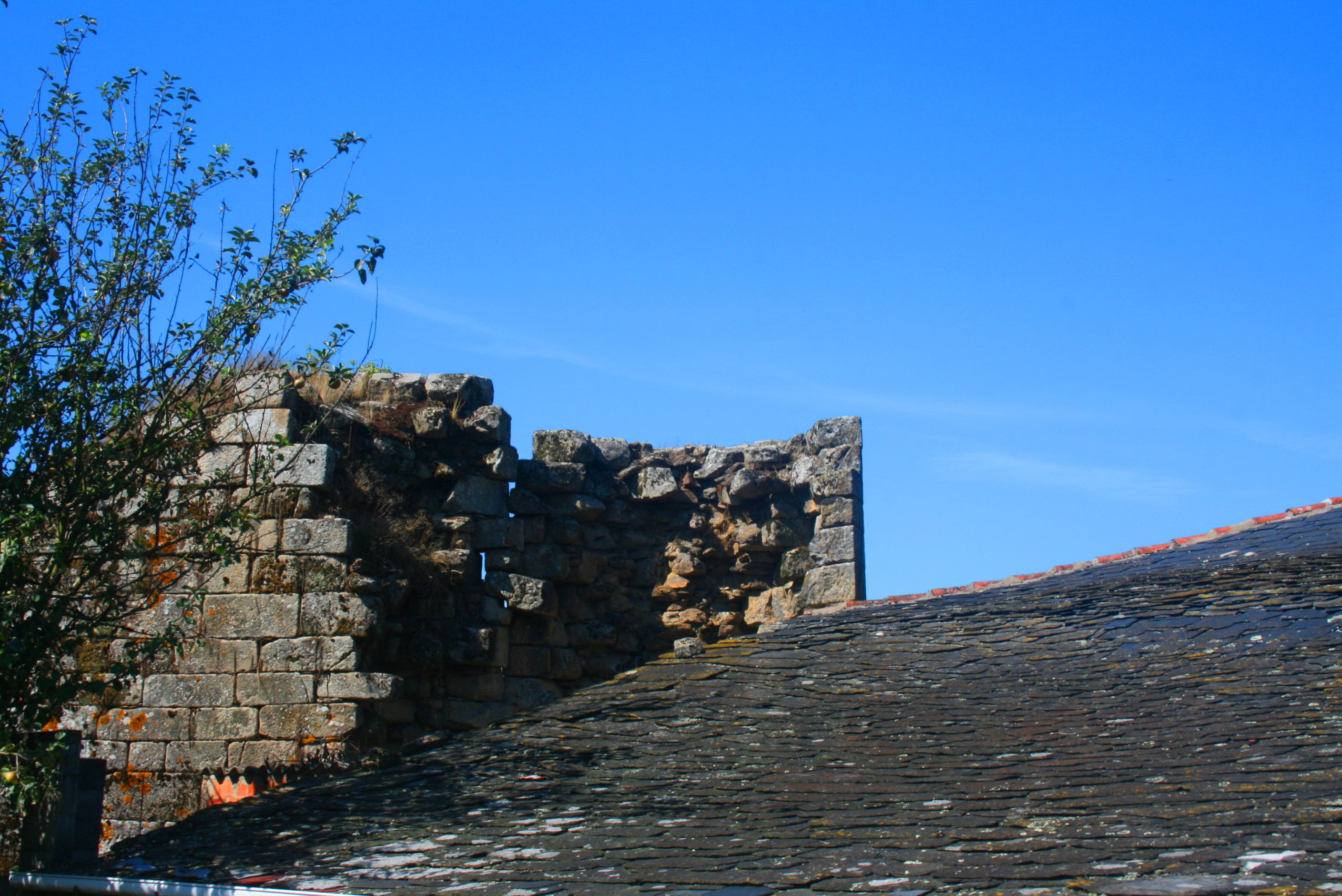 Castillo de la Pobra de Parga, por Pepe Barrios Rojo