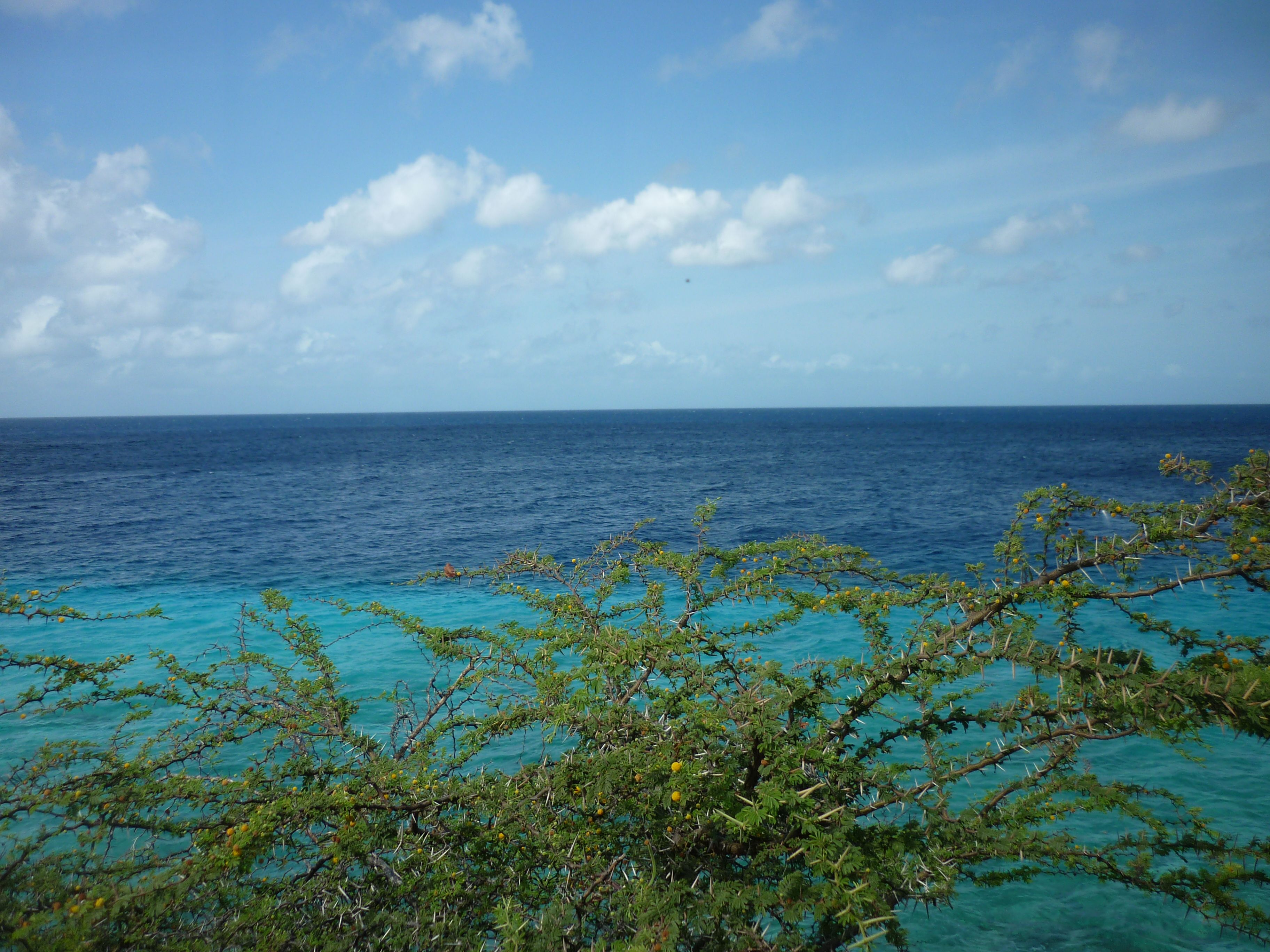 Bonaire, por claudia moesker