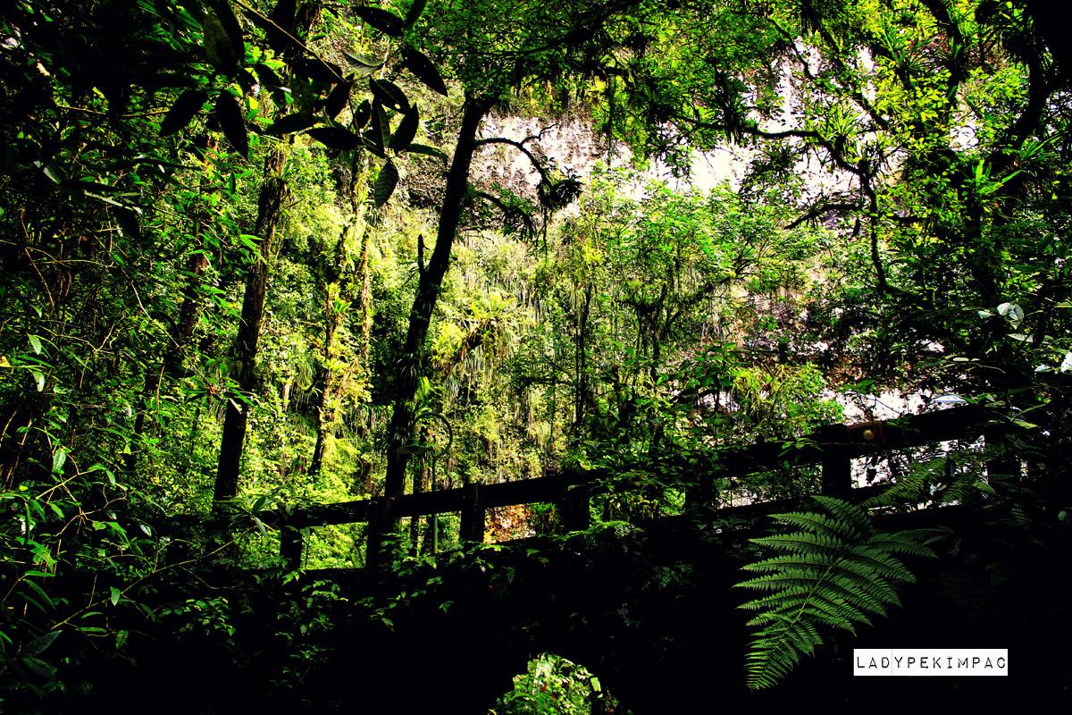 Cuevas del Río Camuy, por Pekimpac