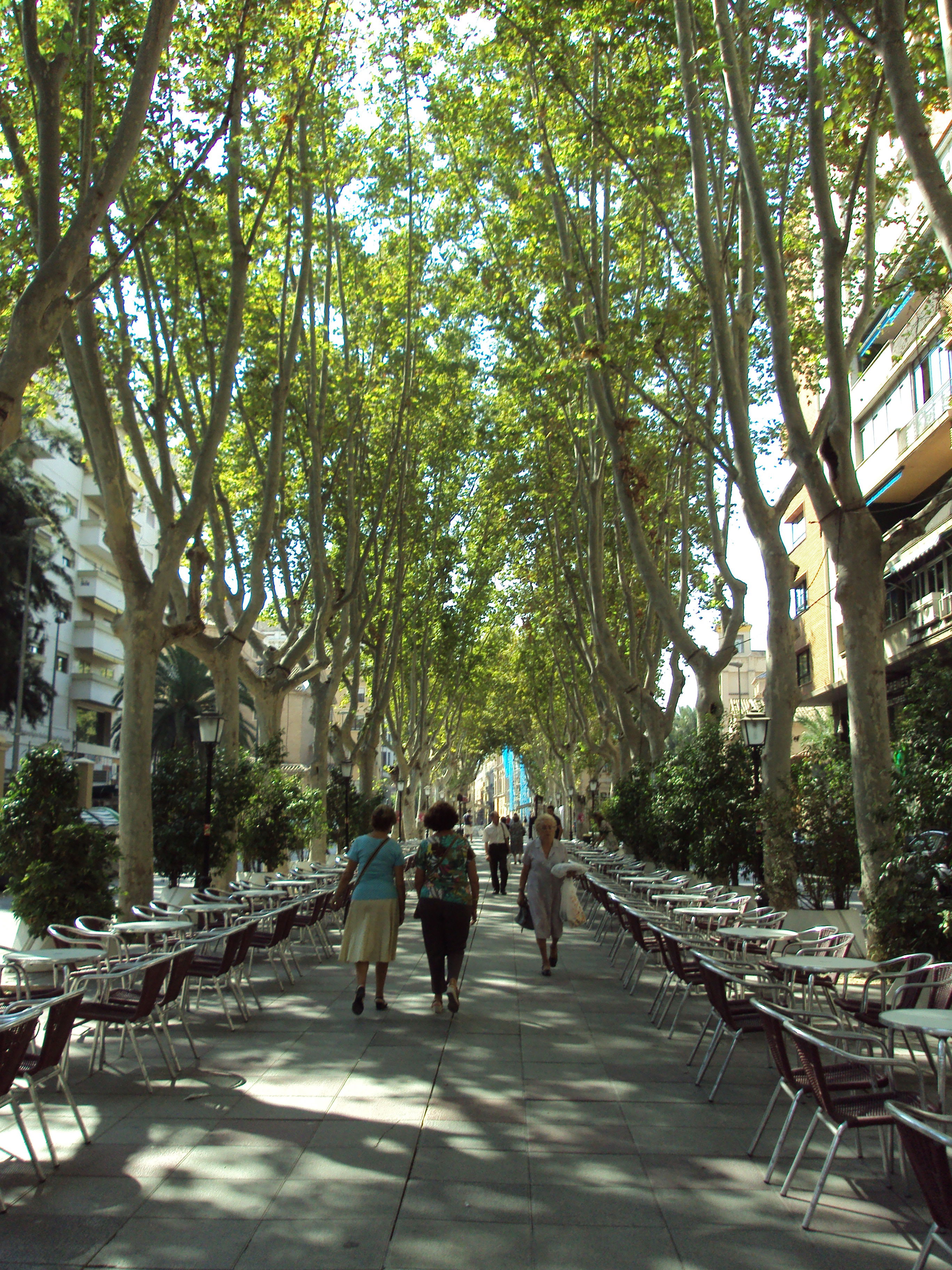 Paseo Alfonso X El Sabio, por Lucy
