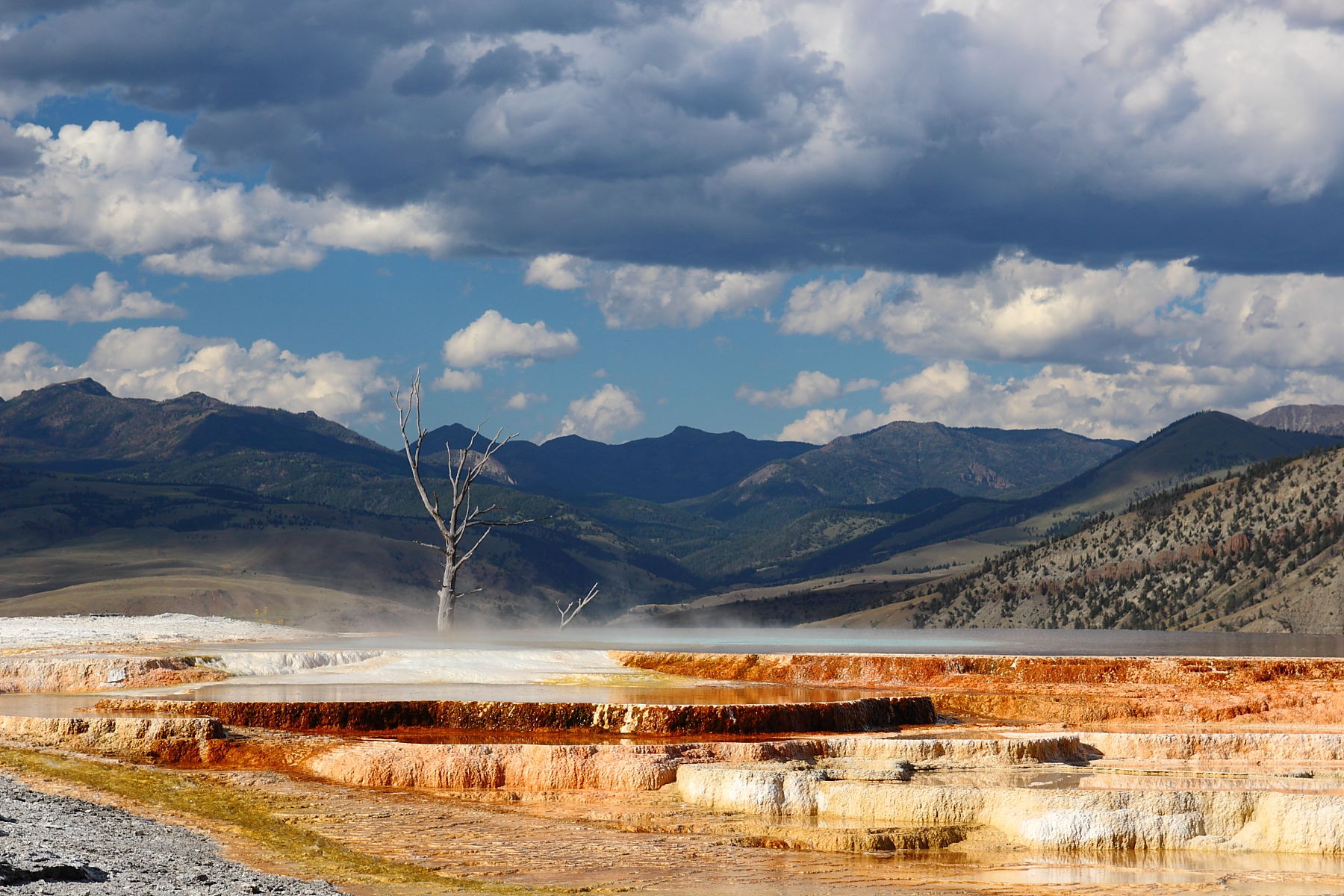 Mammoth hot springs, por Juan Carlos Viana