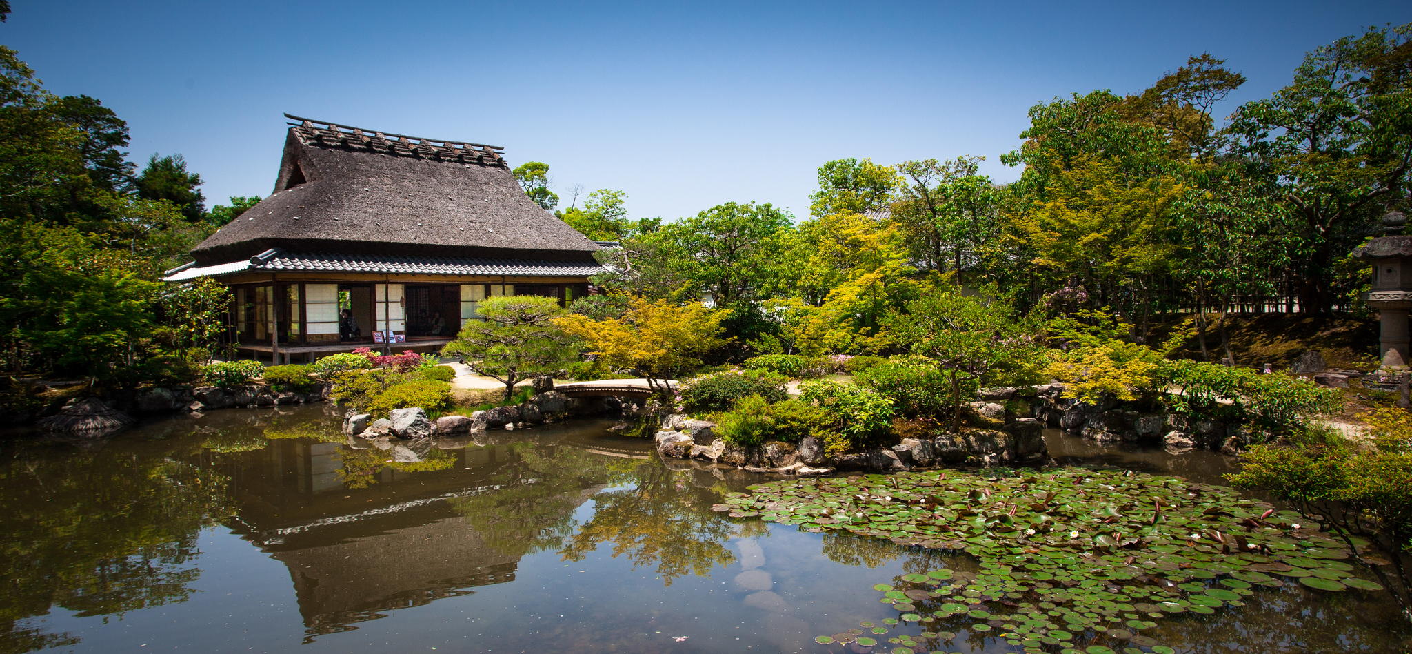 Aire libre en Nara: explora sus mágicos parques y montañas