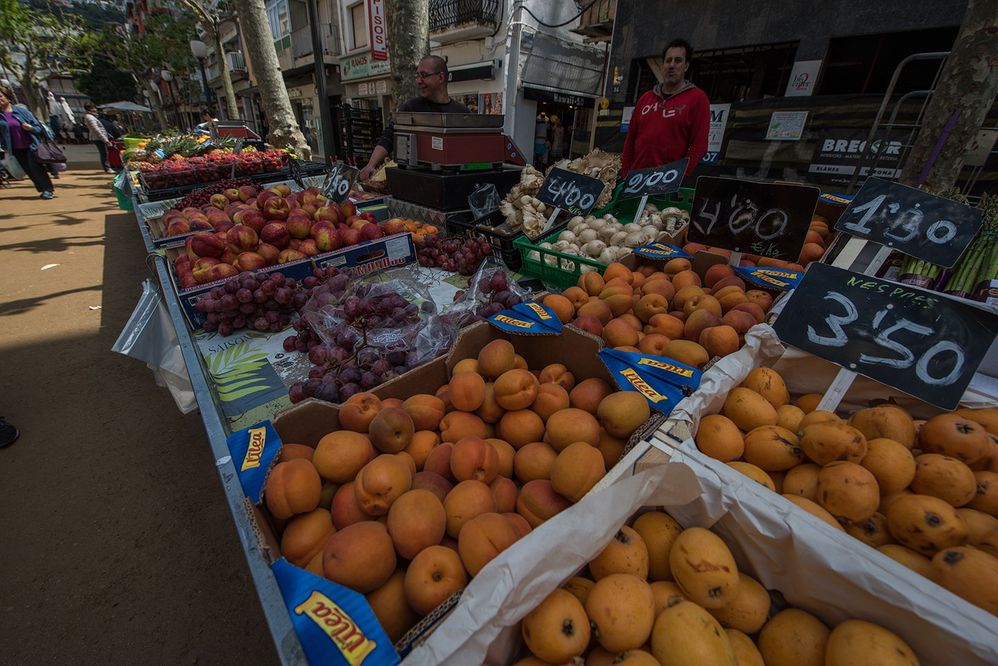 Mercado Blanes, por Julio Castro Pardo