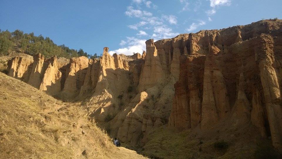 Torre Torre, por Sofía Mogollón