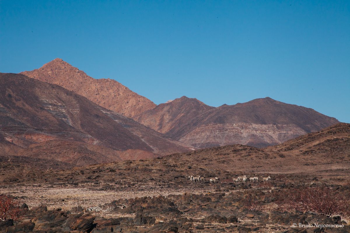 Monte Brandberg, por Bruno Nepomuceno