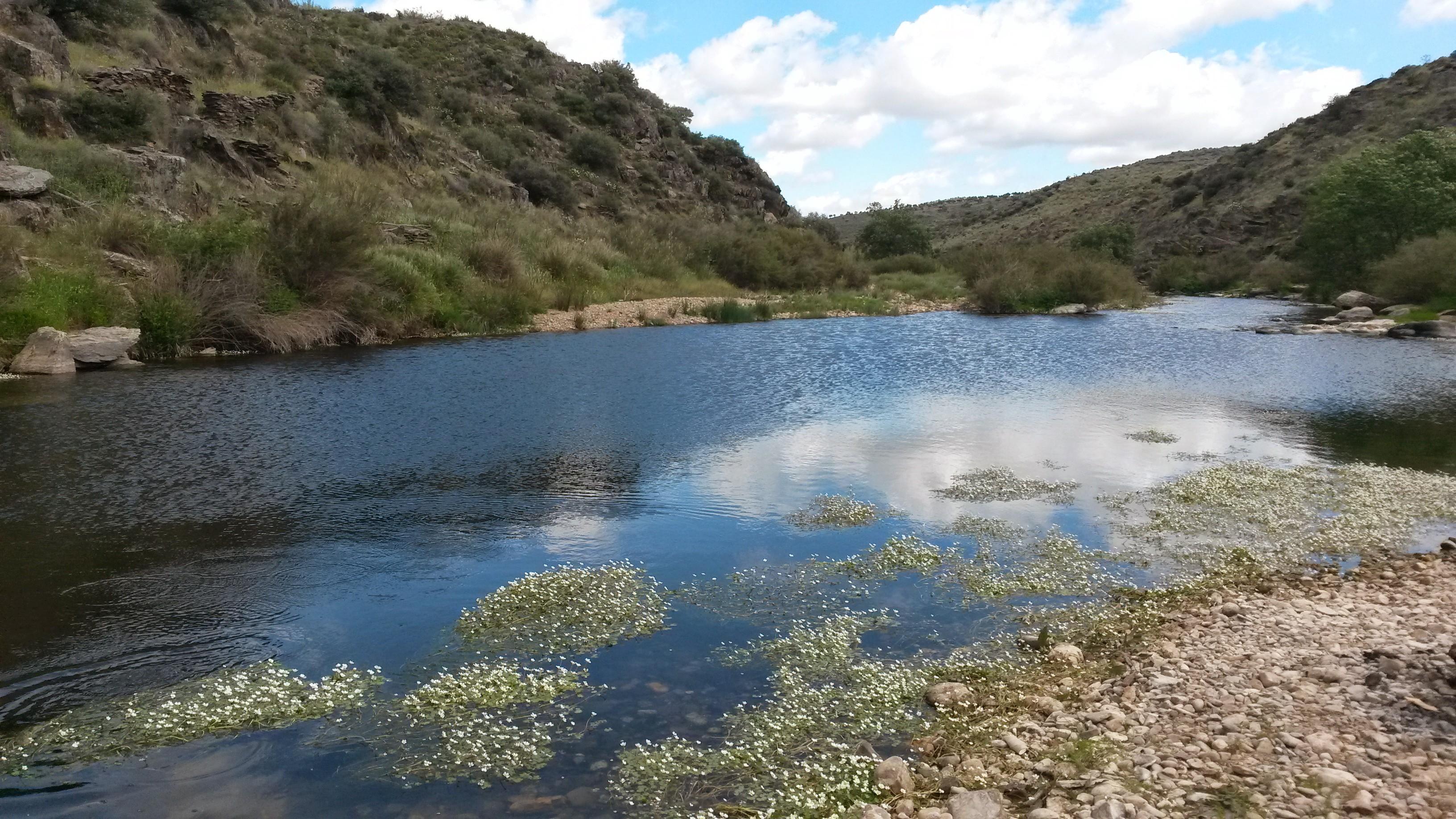 Río Huso (comarca de La Jara), por David Polo