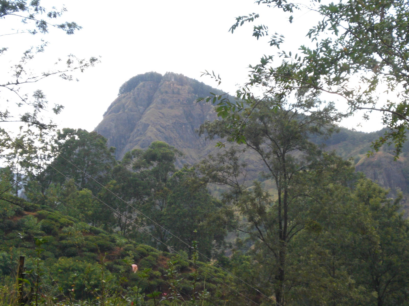 Little Adam's Peak, por paulinette