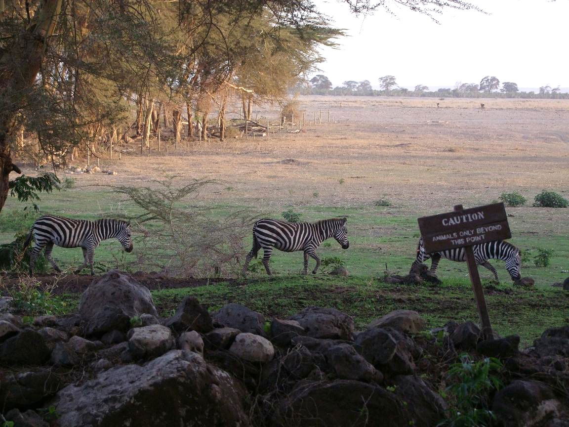 Hotel Amboseli Serena Safari Lodge, por Giringirella