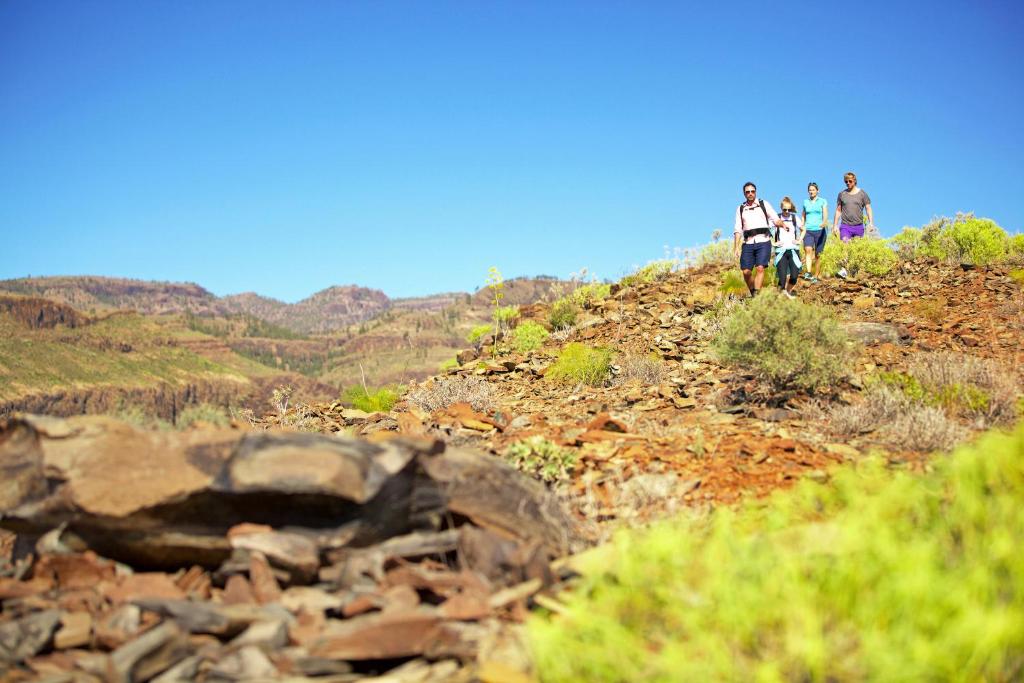 Hoteles que admiten perros en Gran Canaria