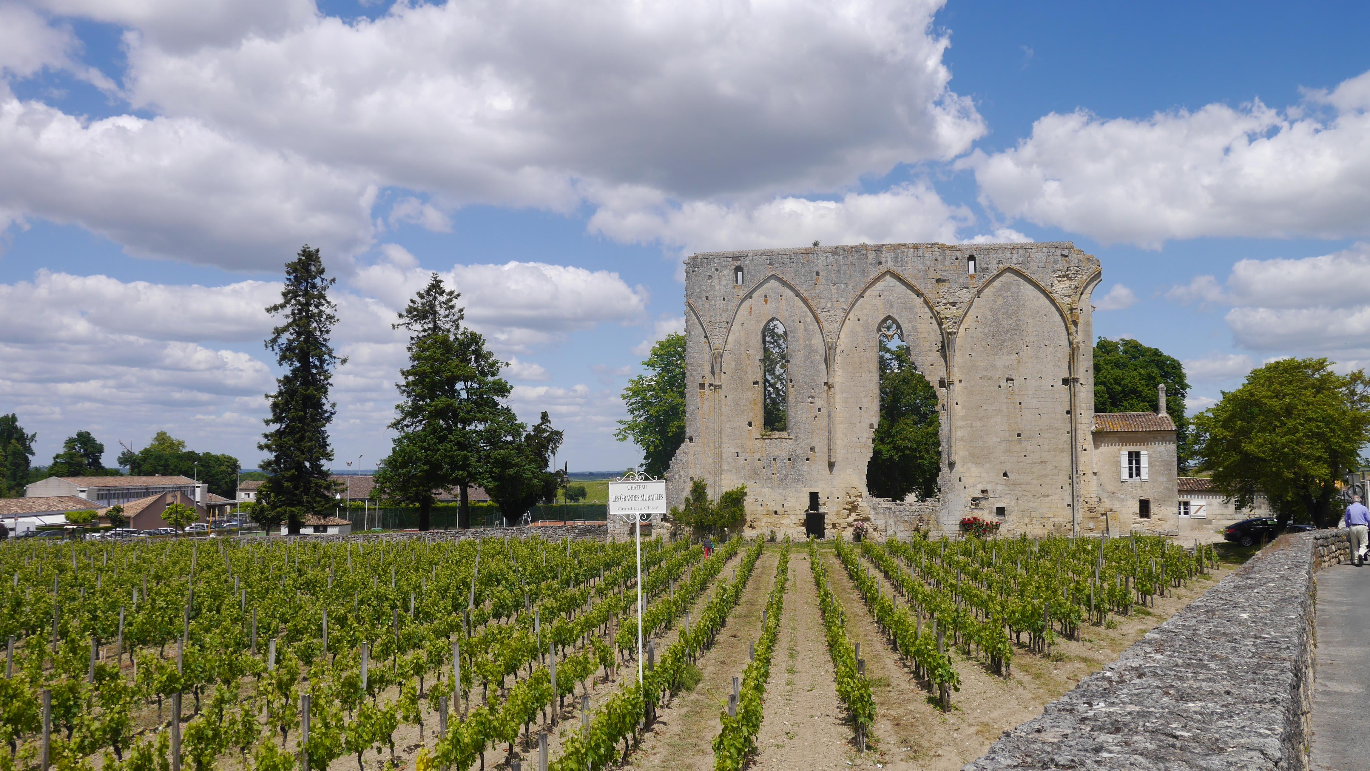 Atracciones en Saint-Émilion: descubre los tesoros de este encantador destino