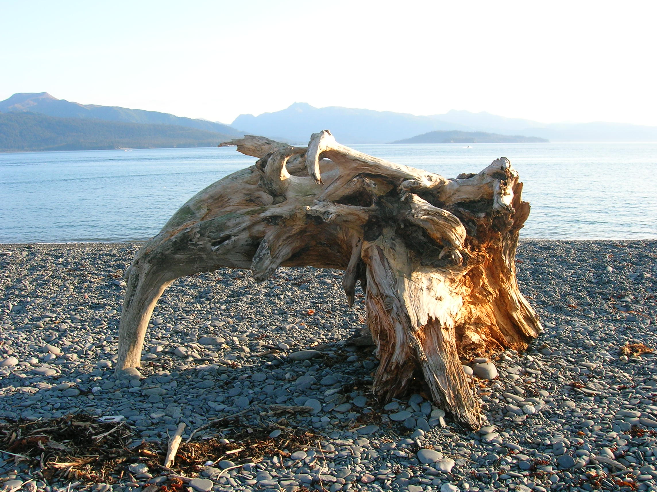 Playa de Homer, por Grace Anderson