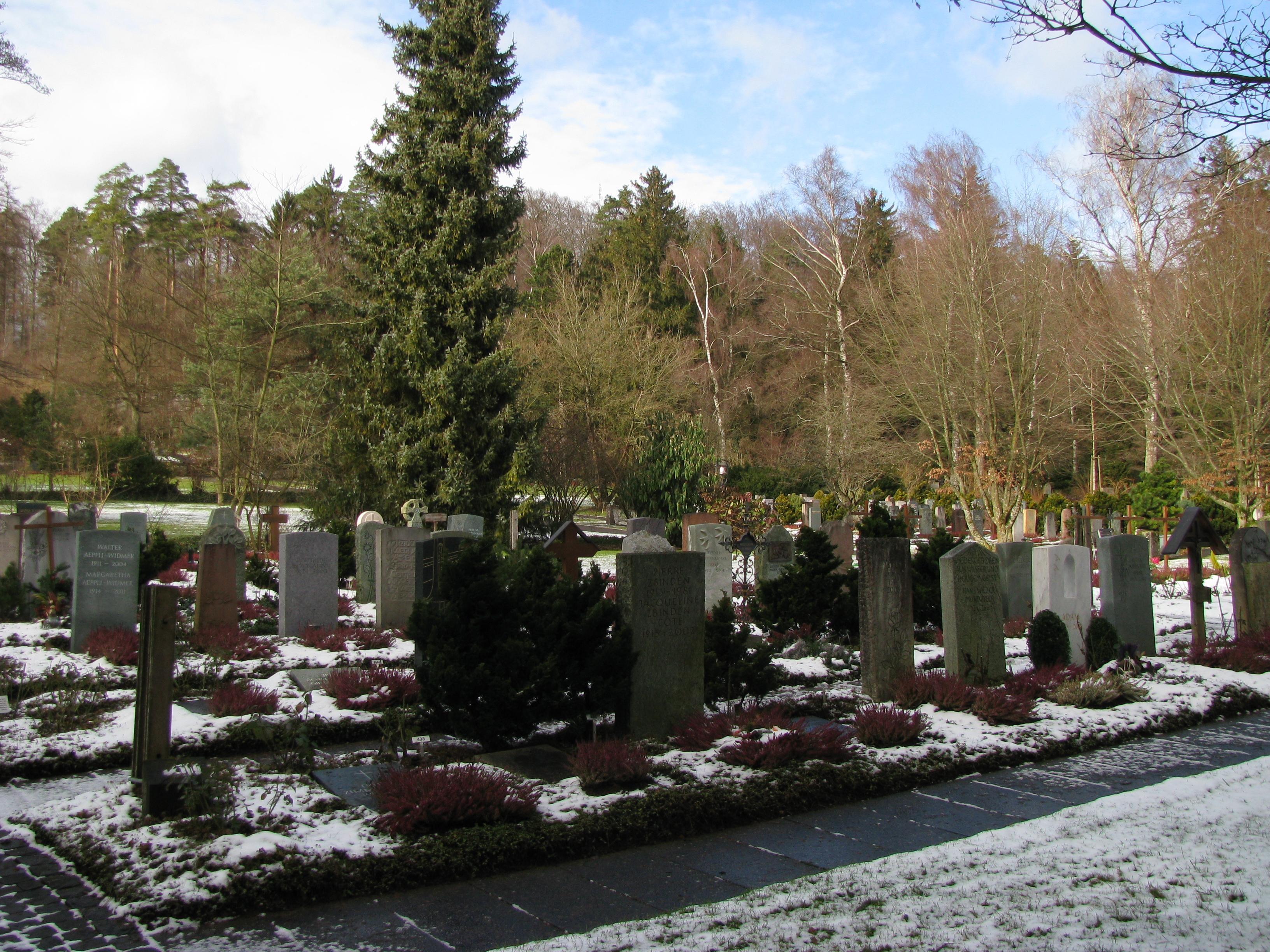 Cementerios en Suiza, un viaje por la memoria y la historia