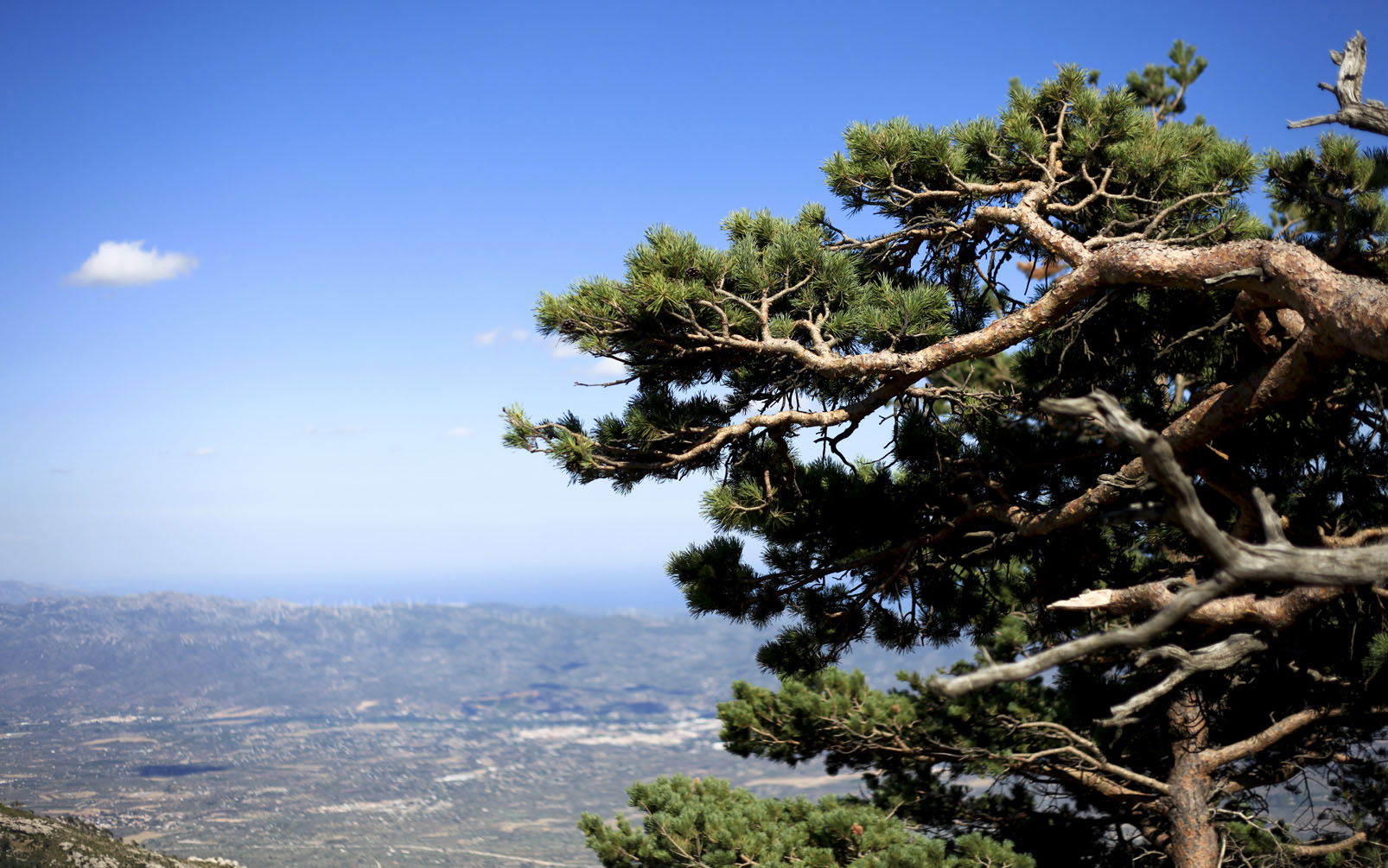 Parque Natural dels Ports, por Maru Serrano Muñoz