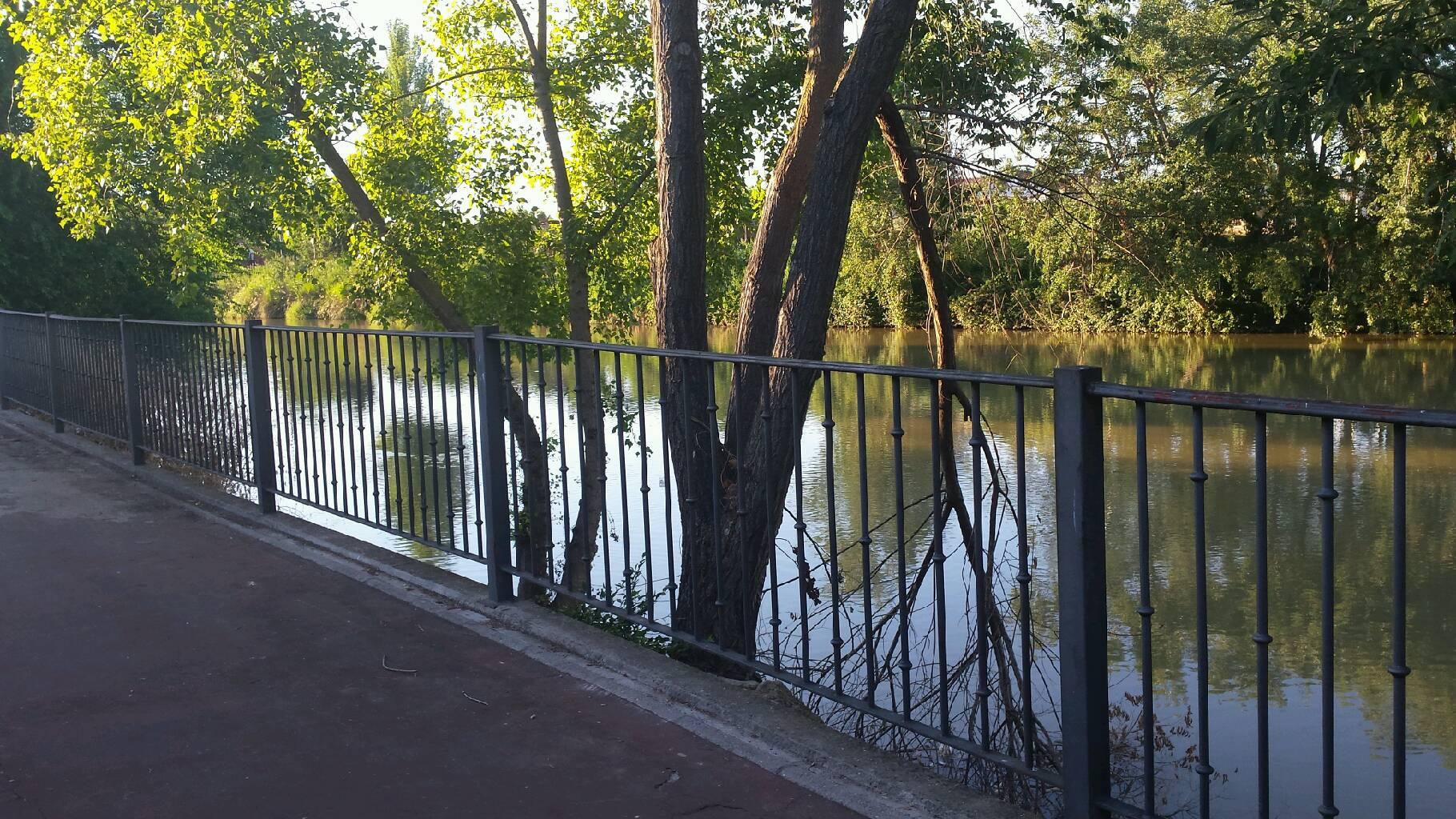 Paseo por Tudela, por Rodrigo Torres Brito