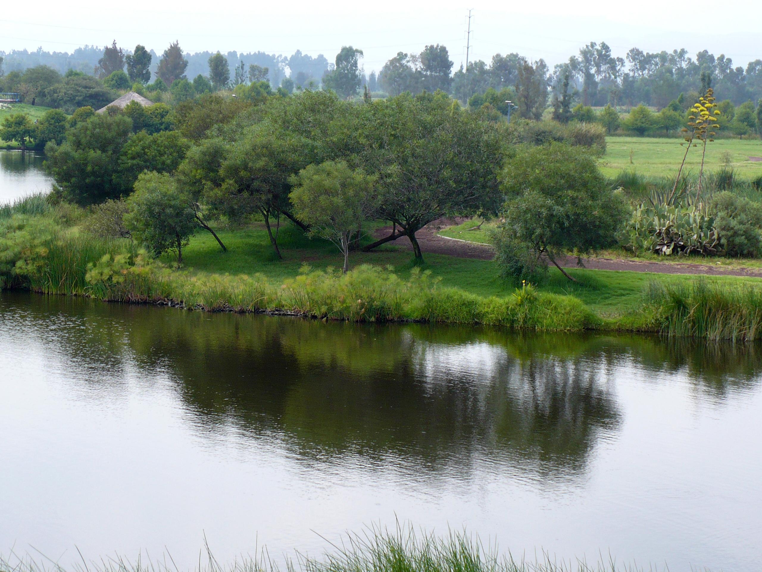 Parque Ecológico de Xochimilco, por Luis Campos