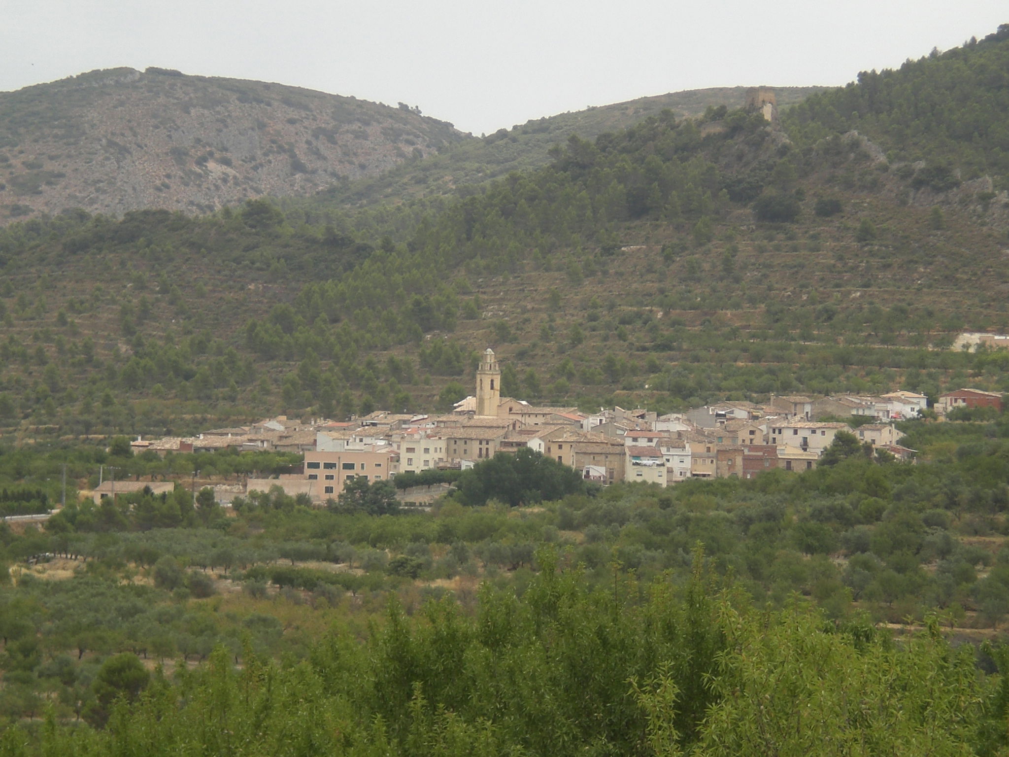 Trayecto Alcoi-Benifallim, por sala2500