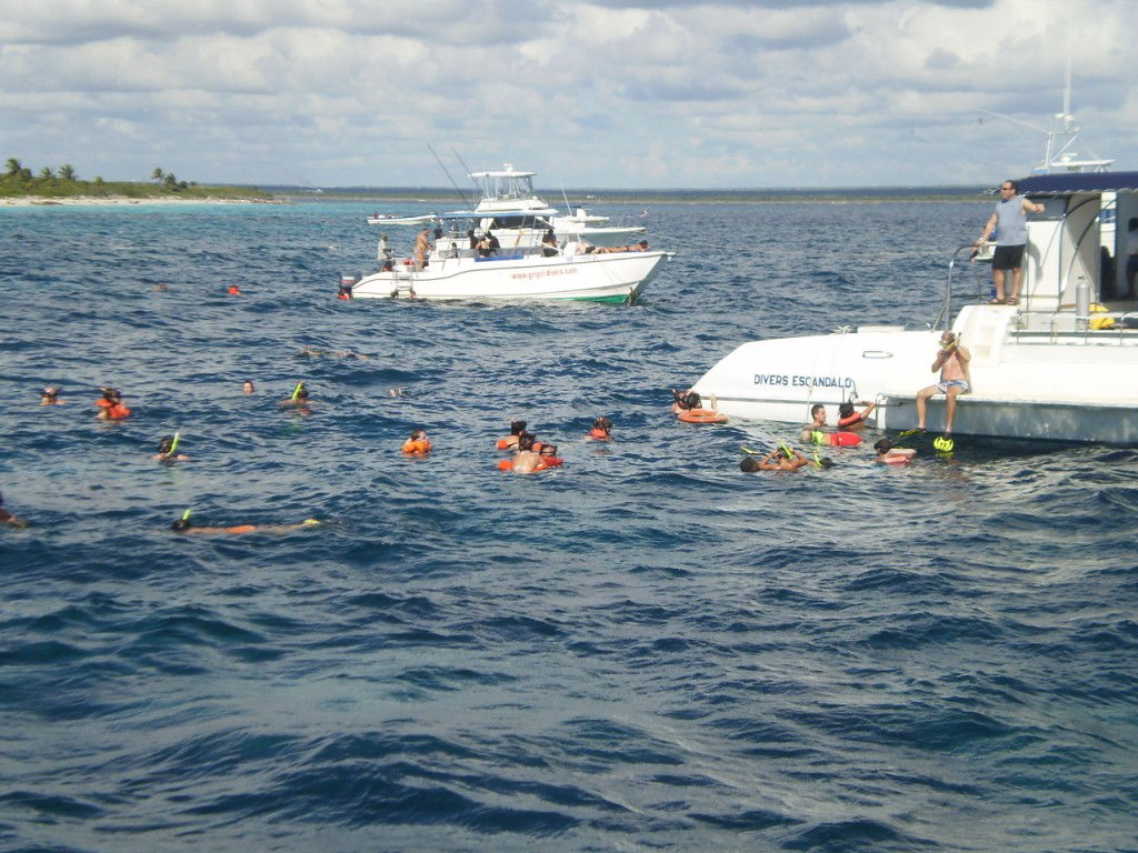 Snorkel en Isla Catalina, por Lala