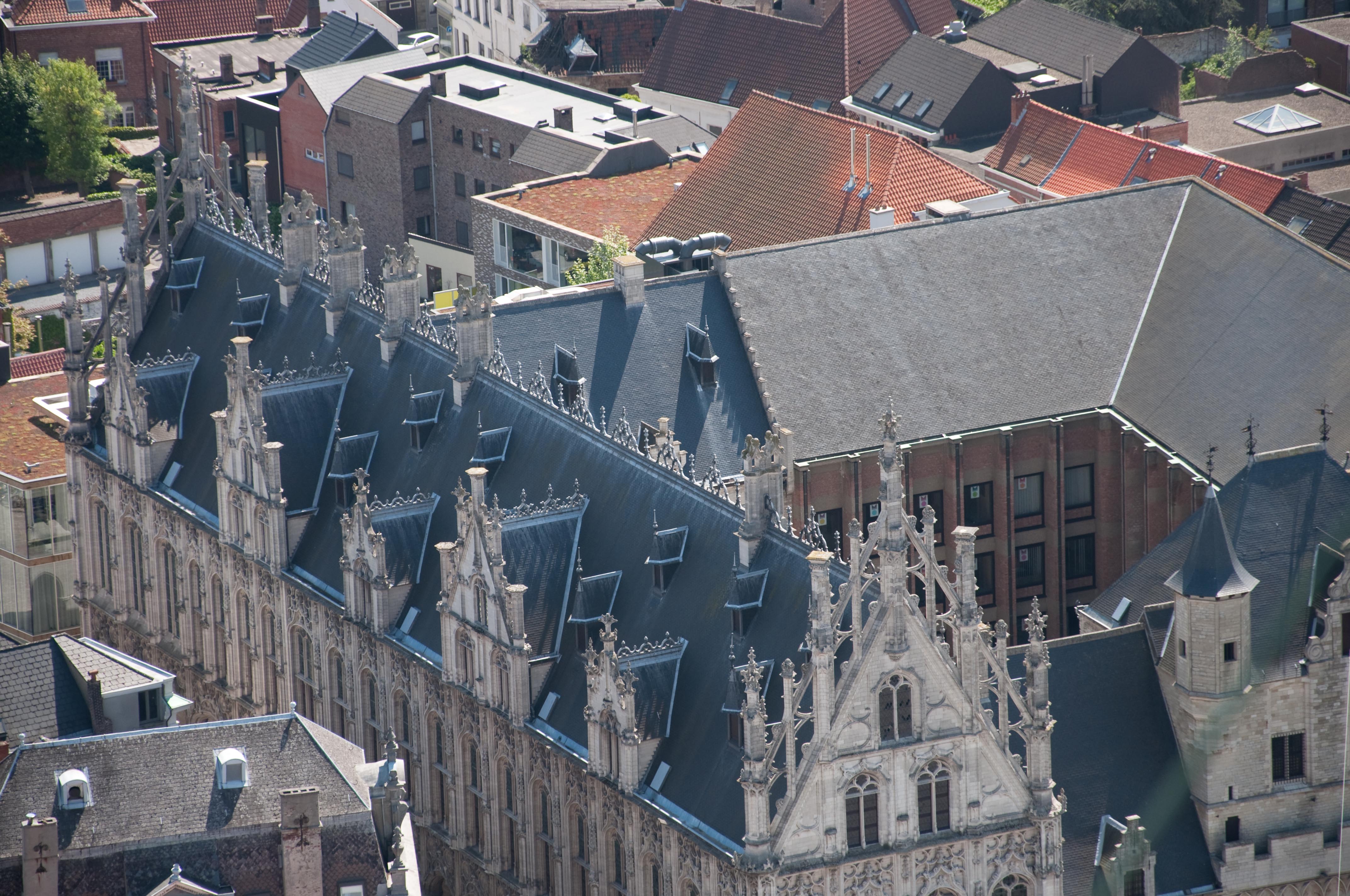 Vistas desde la torre de la Catedral, por Pedro Jareño