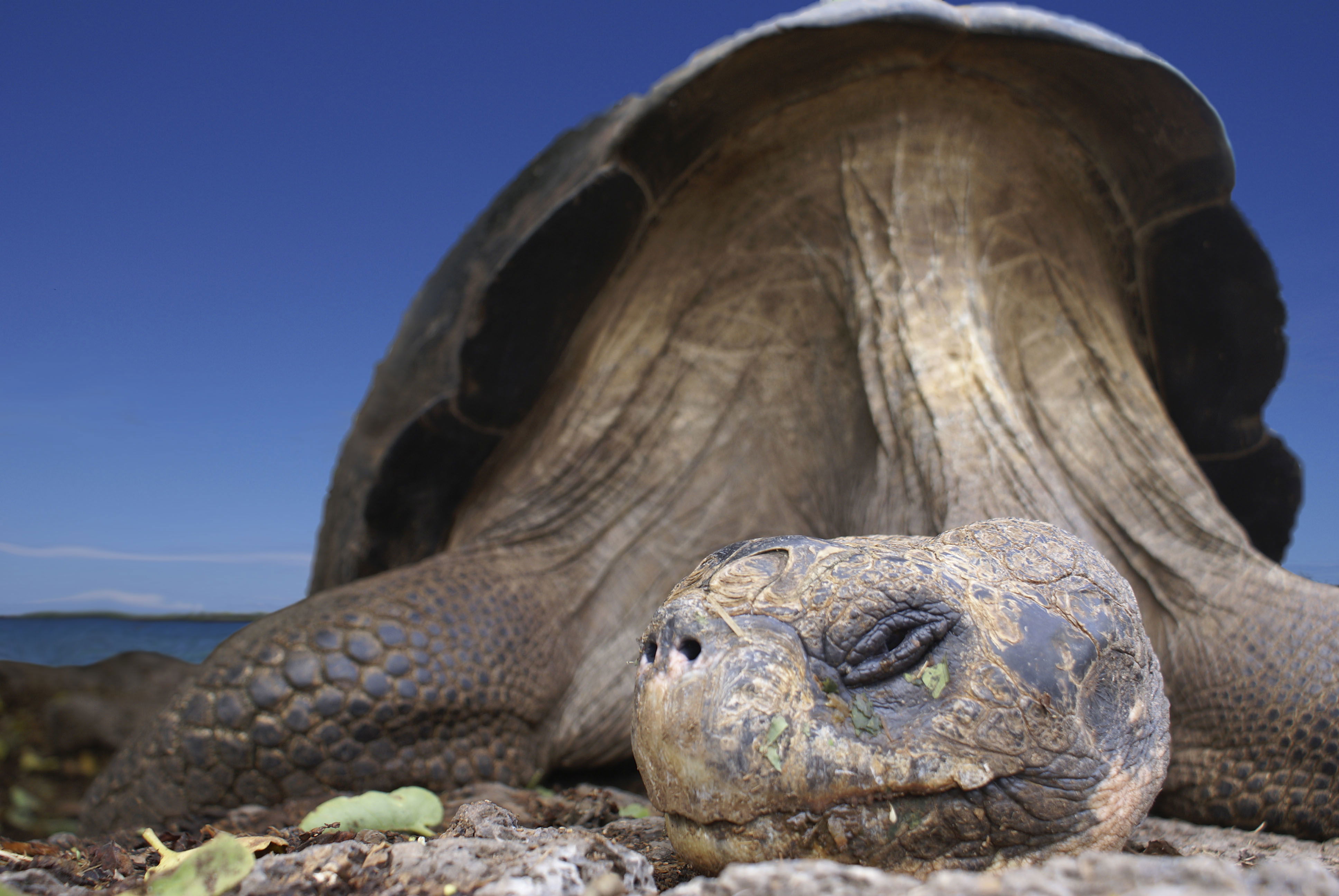 Parque Nacional Galápagos, por nando2000