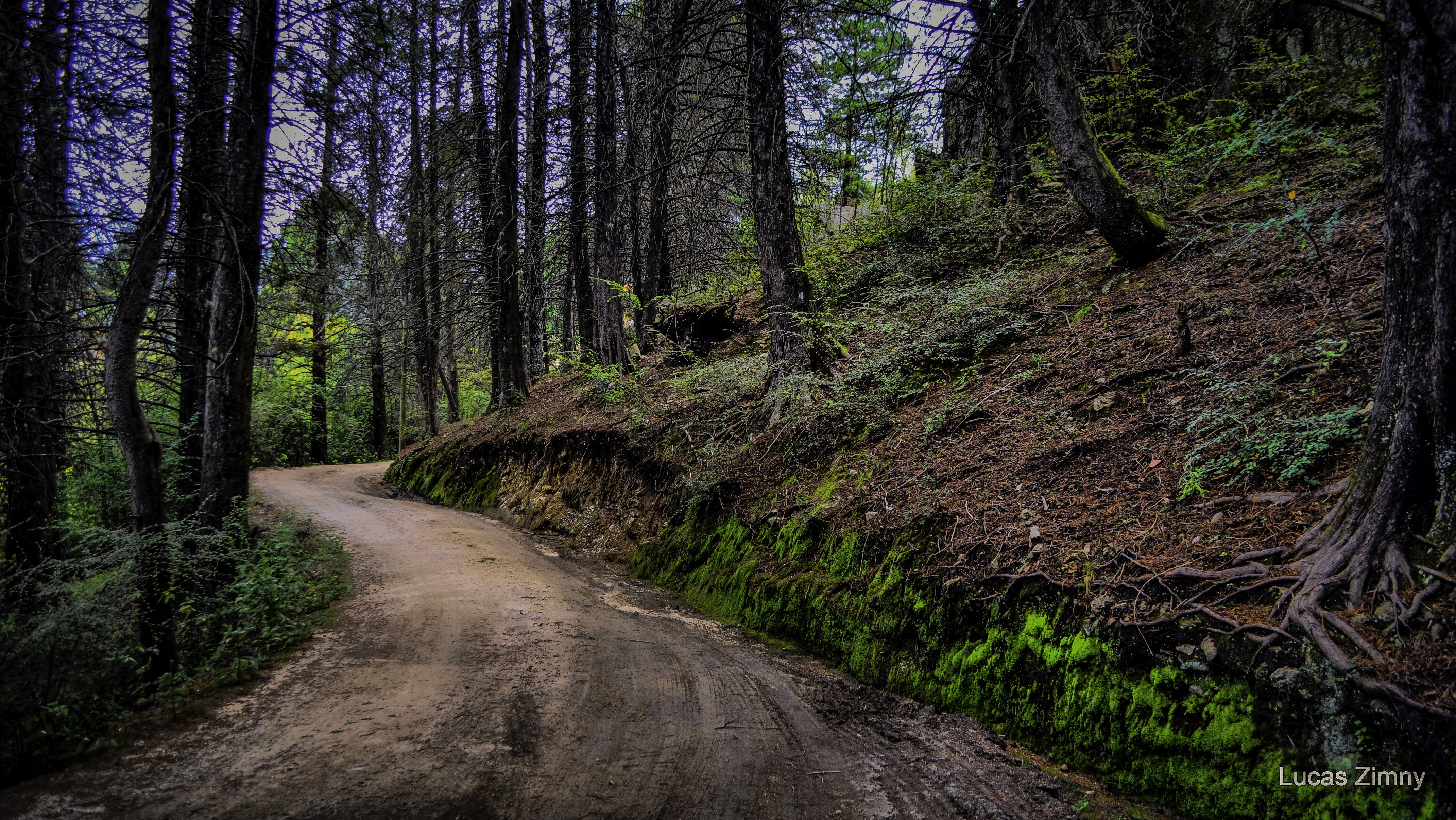 Valle de Calamuchita, por Lucas Zimny
