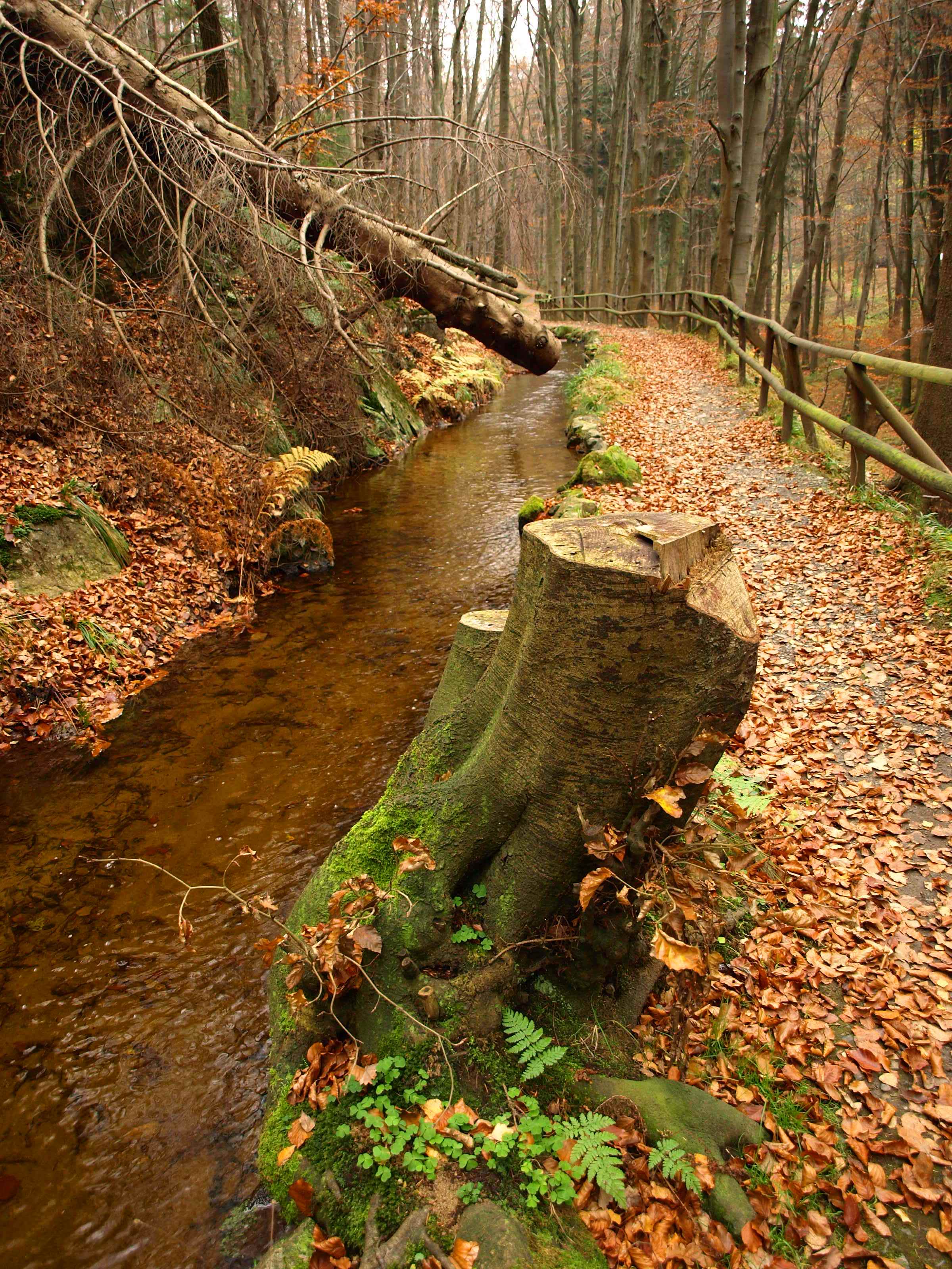 Excursión a Torfthaus, por Anushka