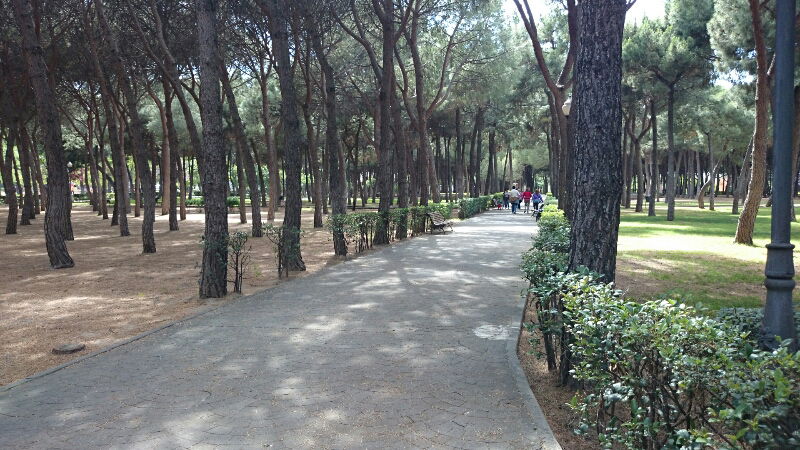 Parque liana, por brindo