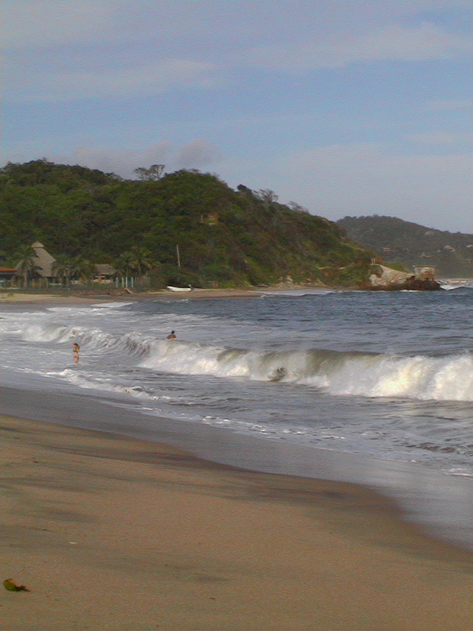 Manzanillo, por guanche