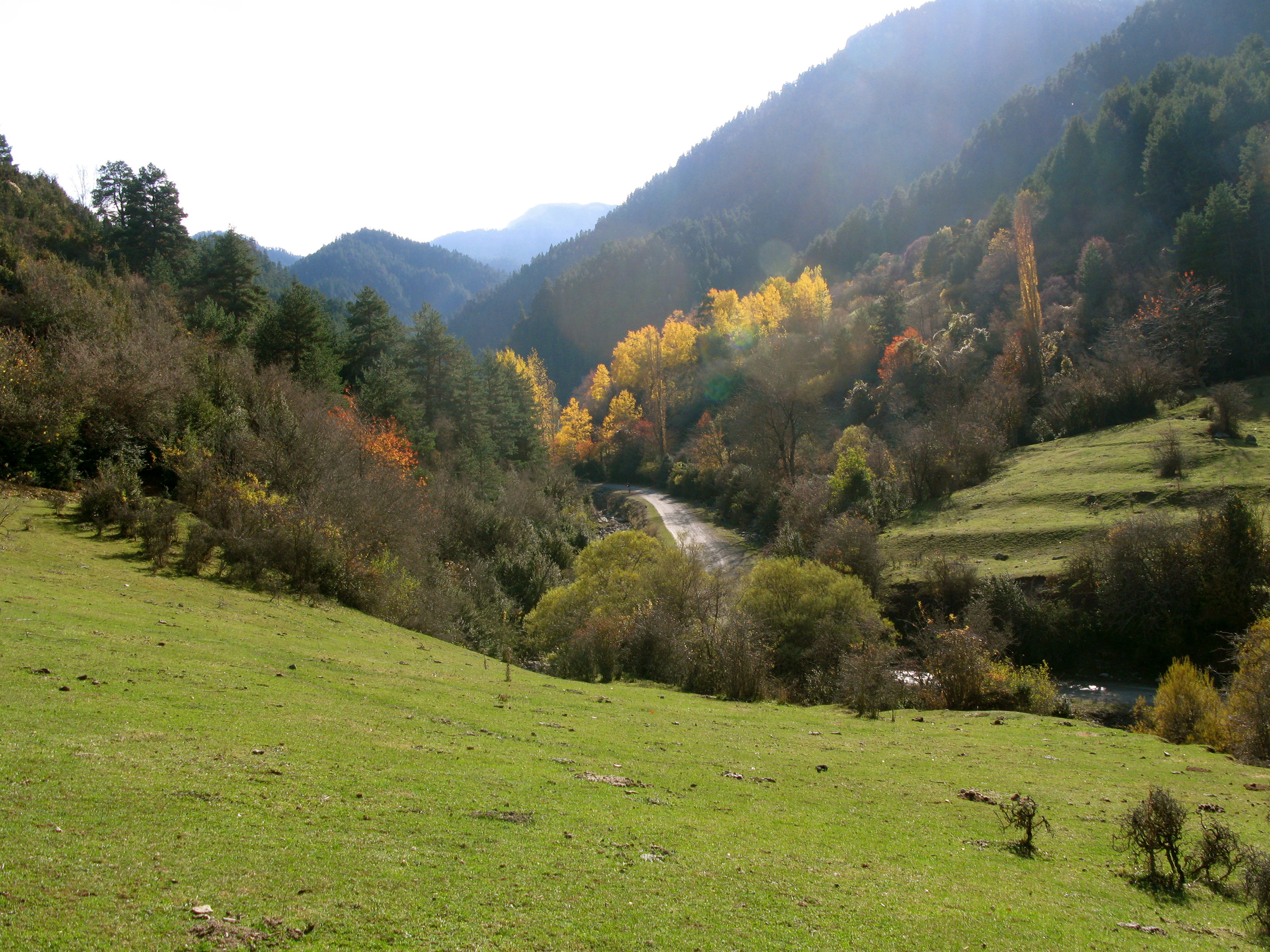 La Vall de l'Ingla, por Lauraround