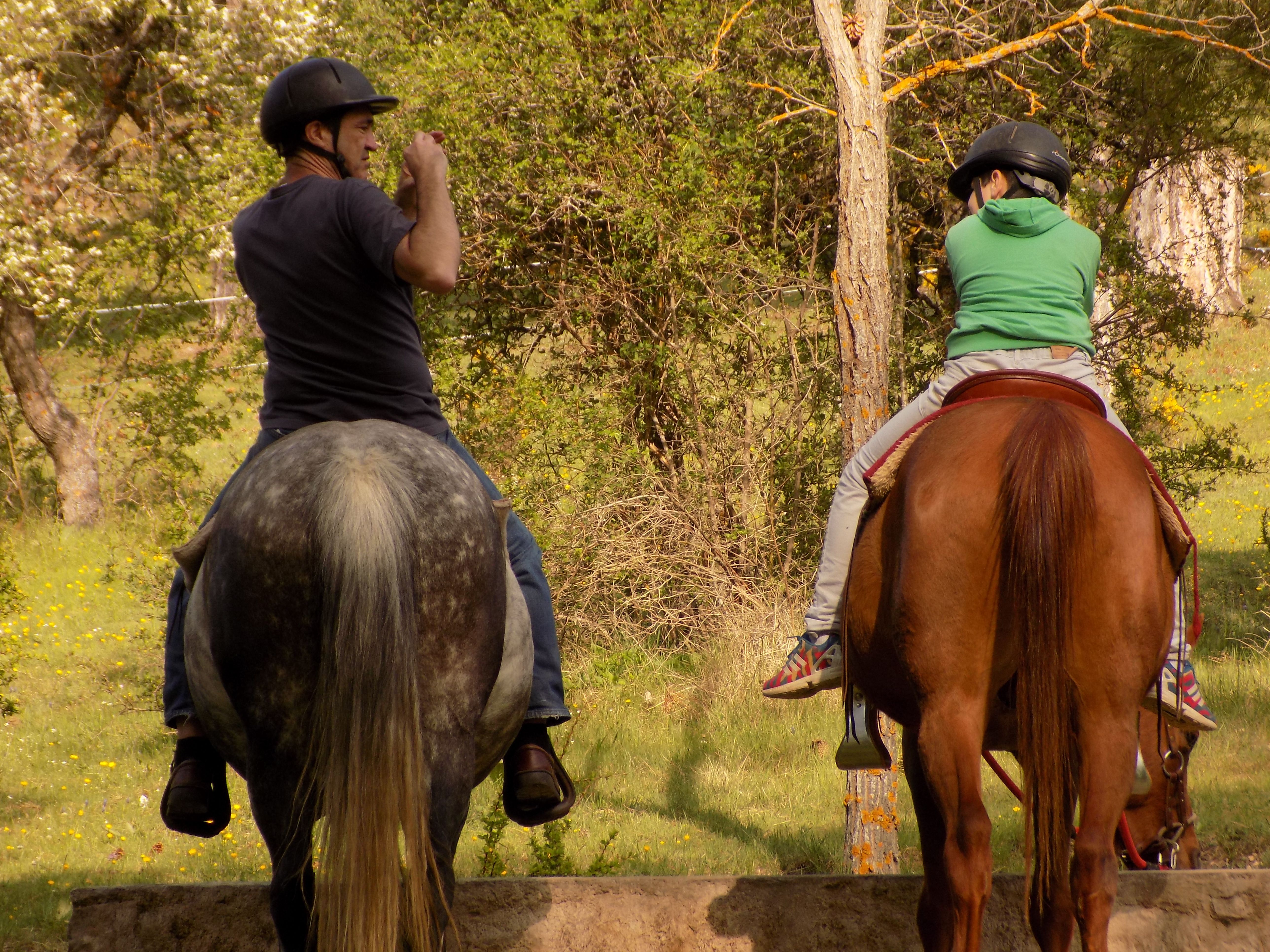 Hípica en España: descubre los mejores destinos para los amantes del caballo