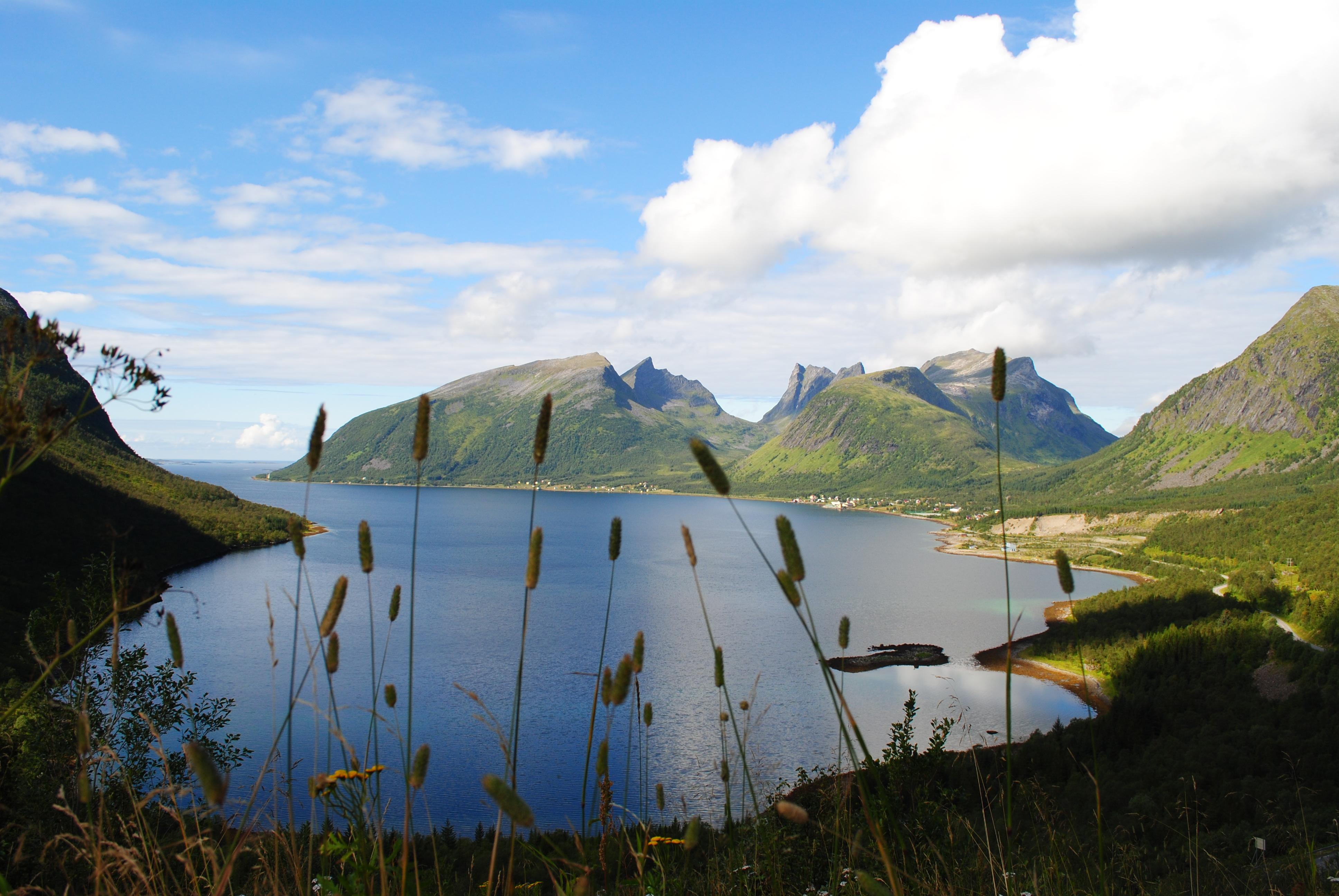 Fiordos de Noruega meridional, por Aurore Pavani